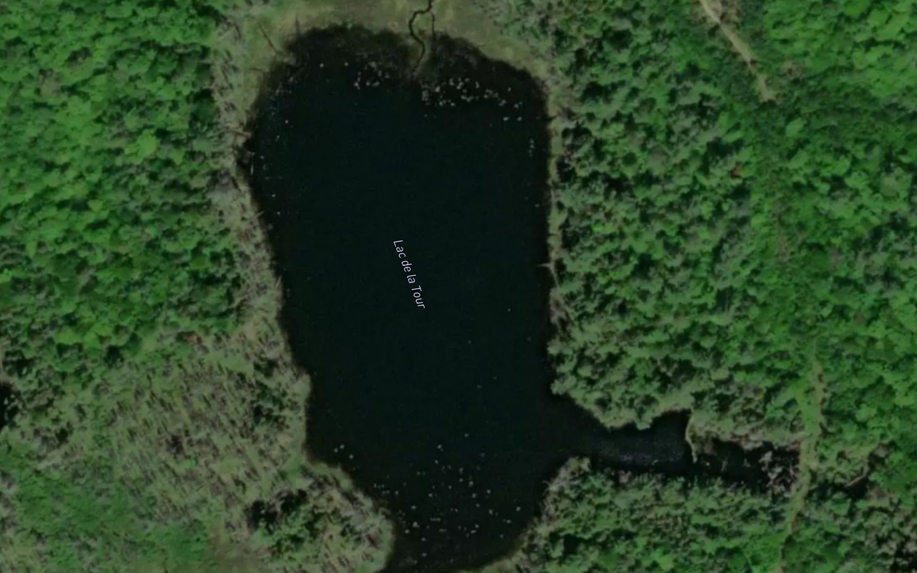 Satellite map of the Lac de la Tour