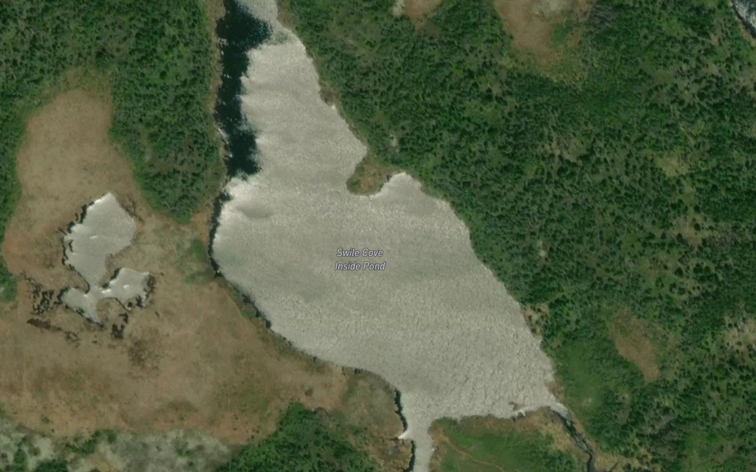 Swile Cove Inside Pond