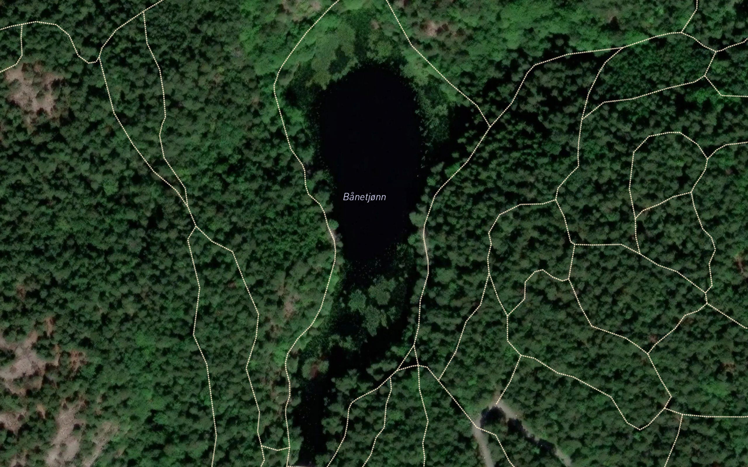 Banetjorn