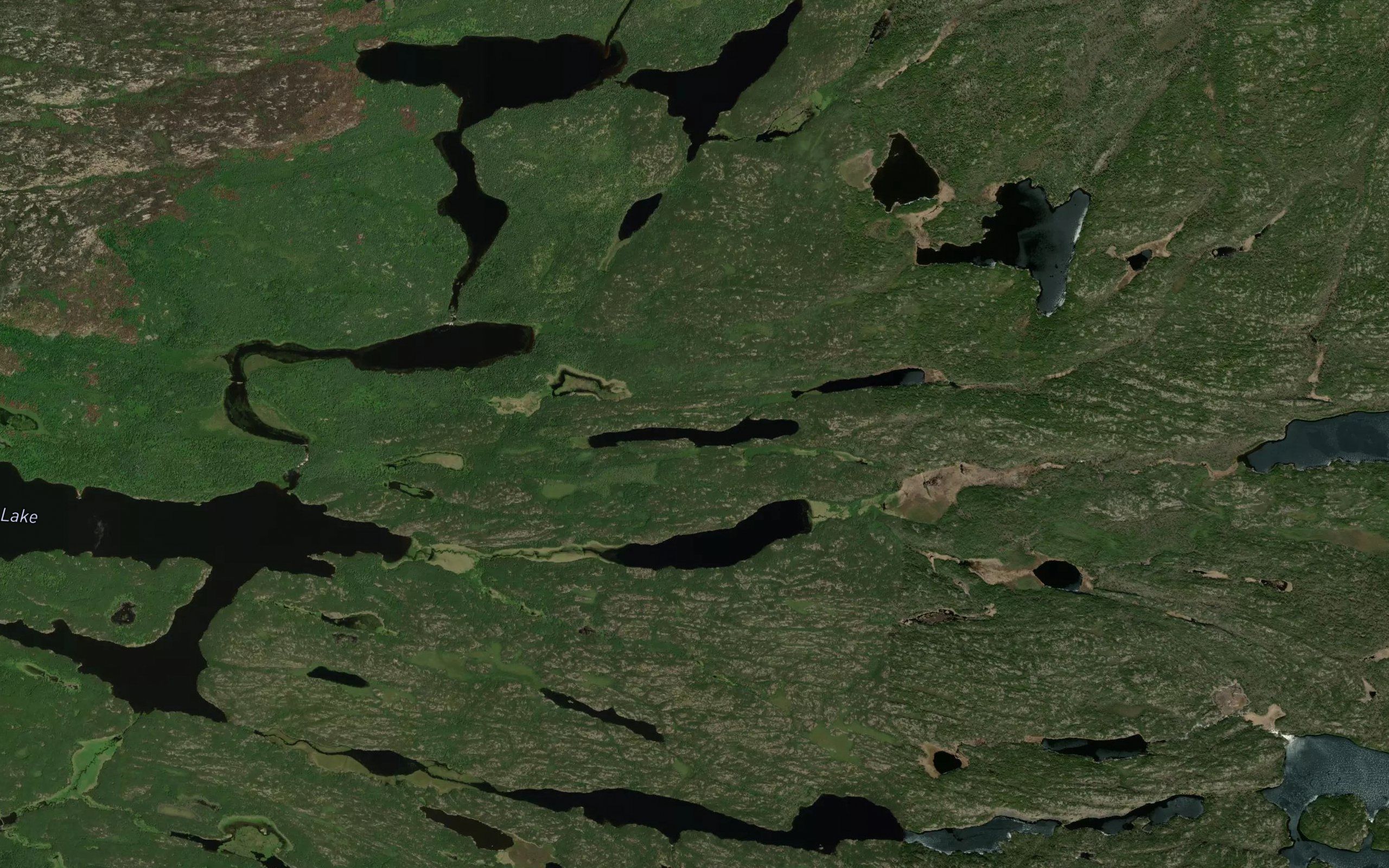 Loons Nest Lake