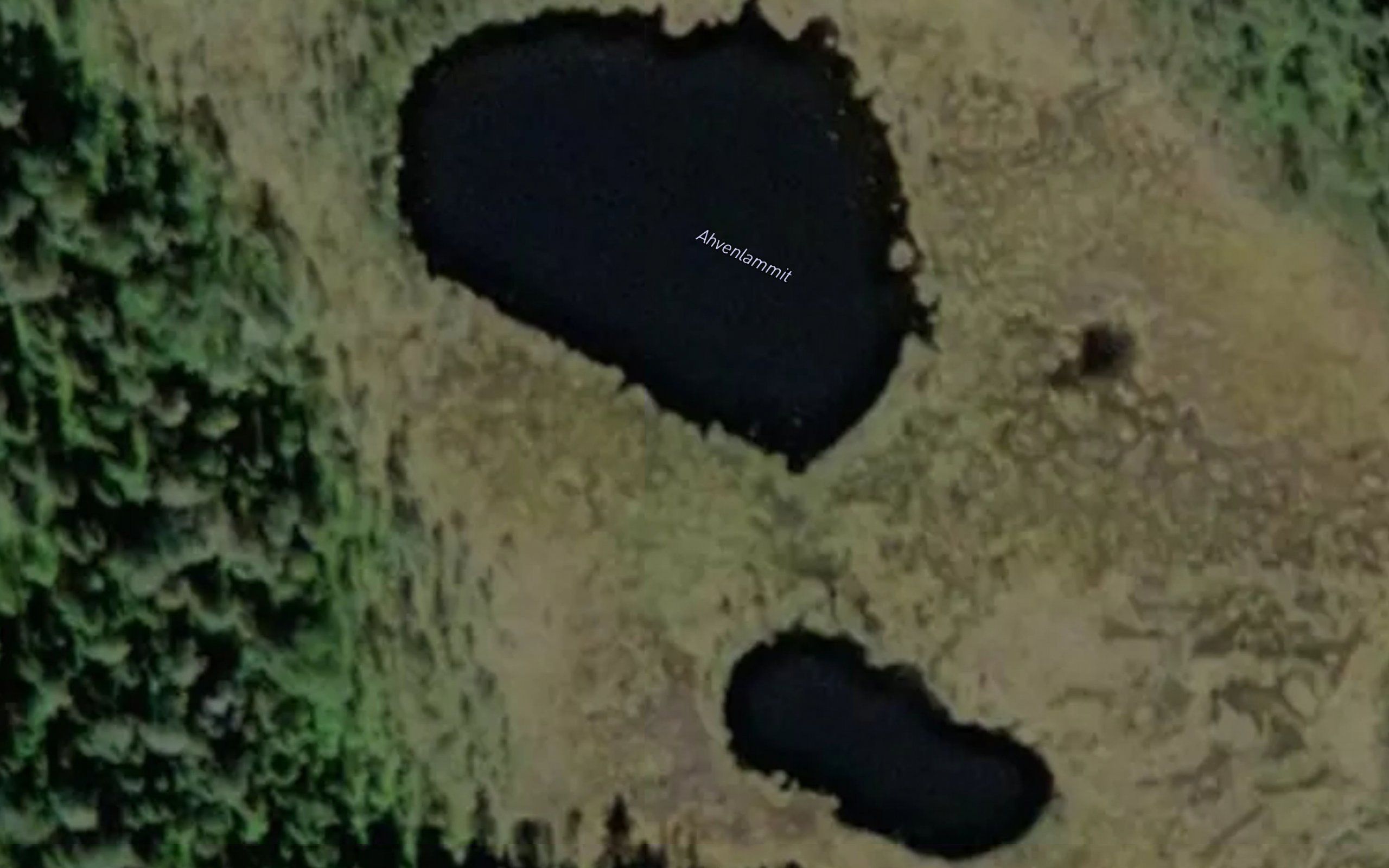 Ahvenlammit