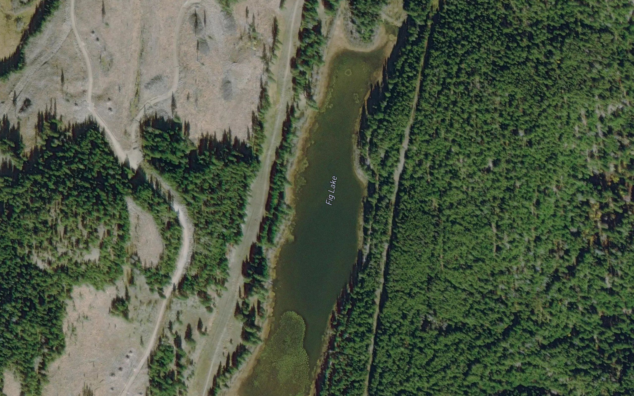 Fig Lake