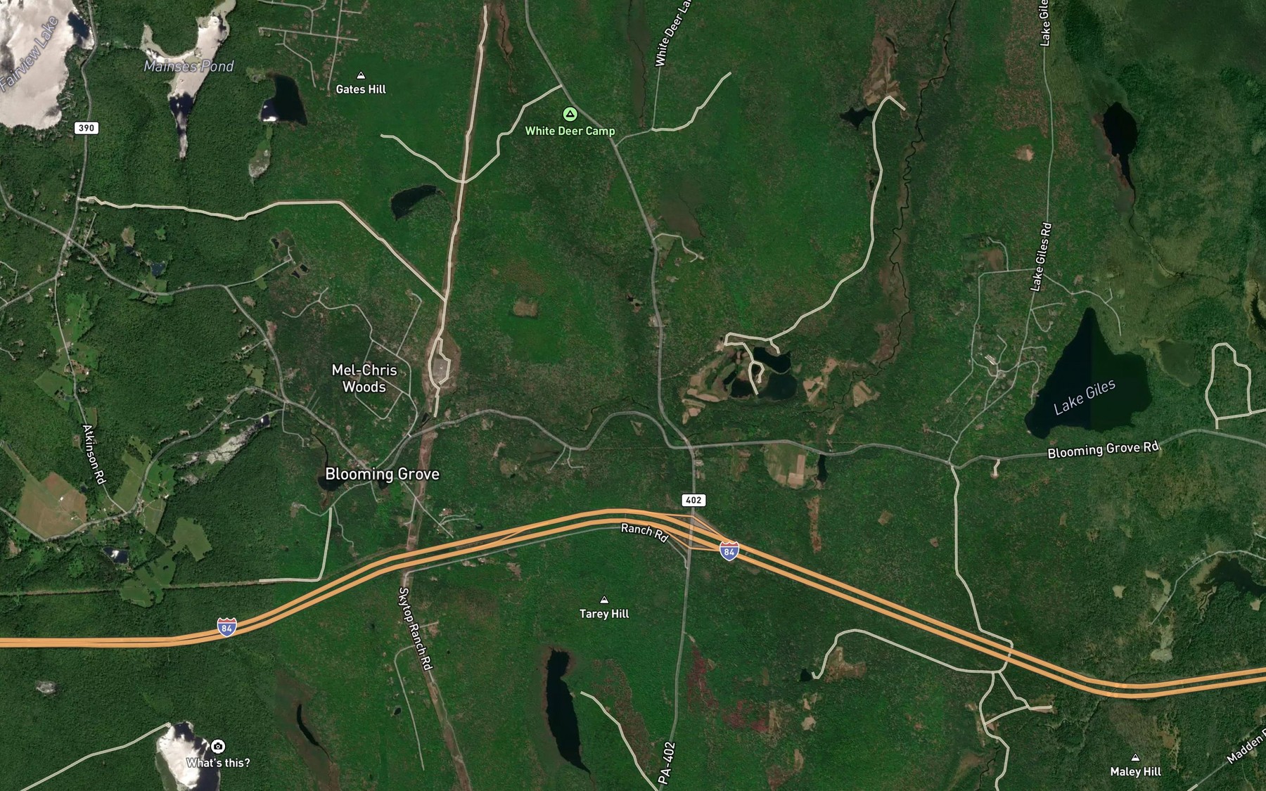Satellite map of the Gates Run
