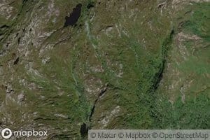 Kjerringelva