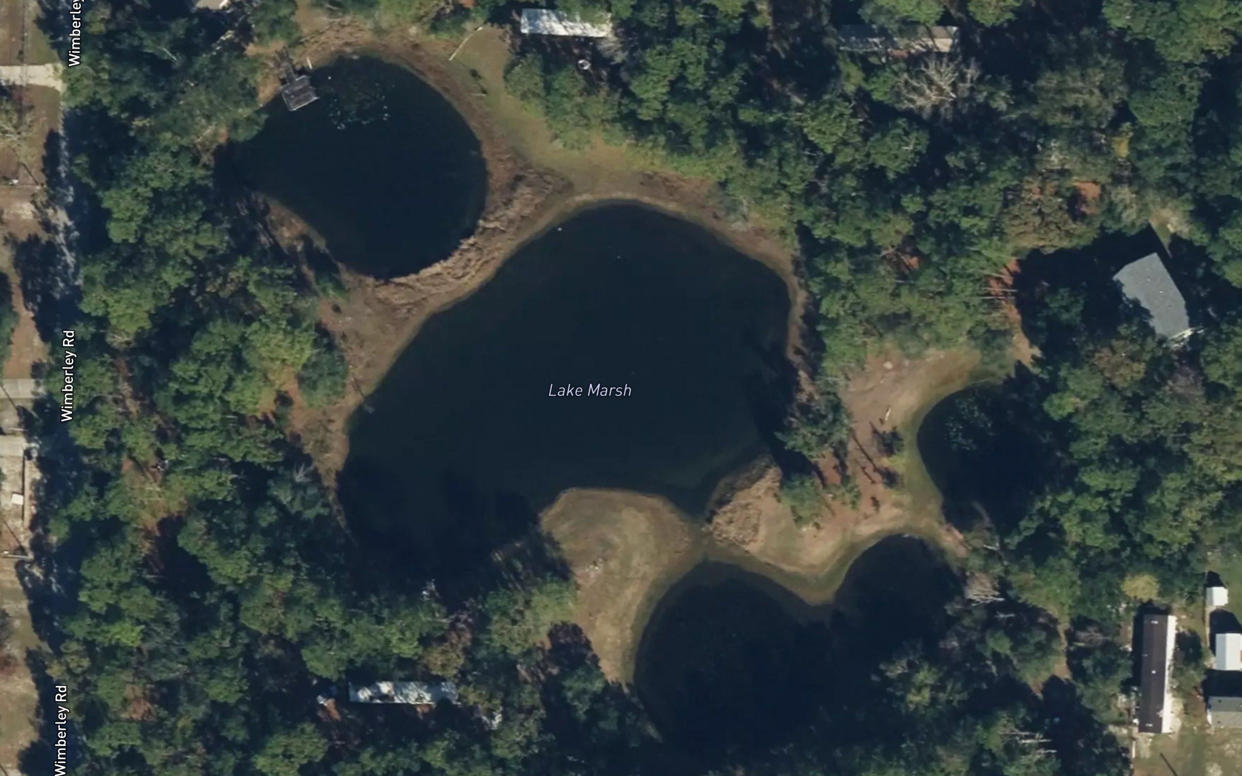 Lake Marsh