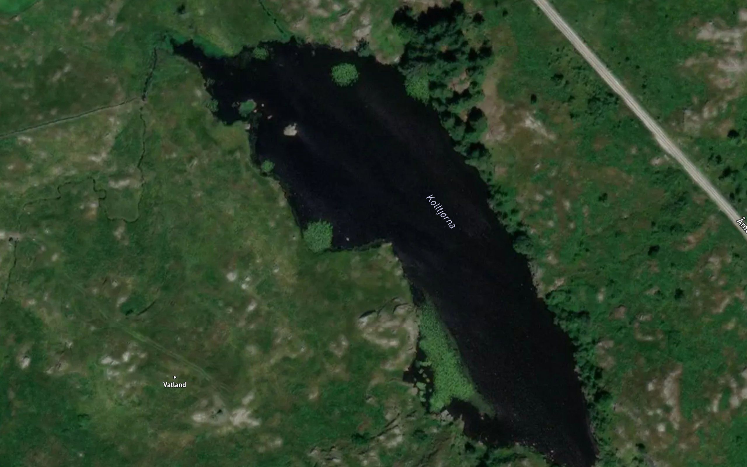 Koltjorna