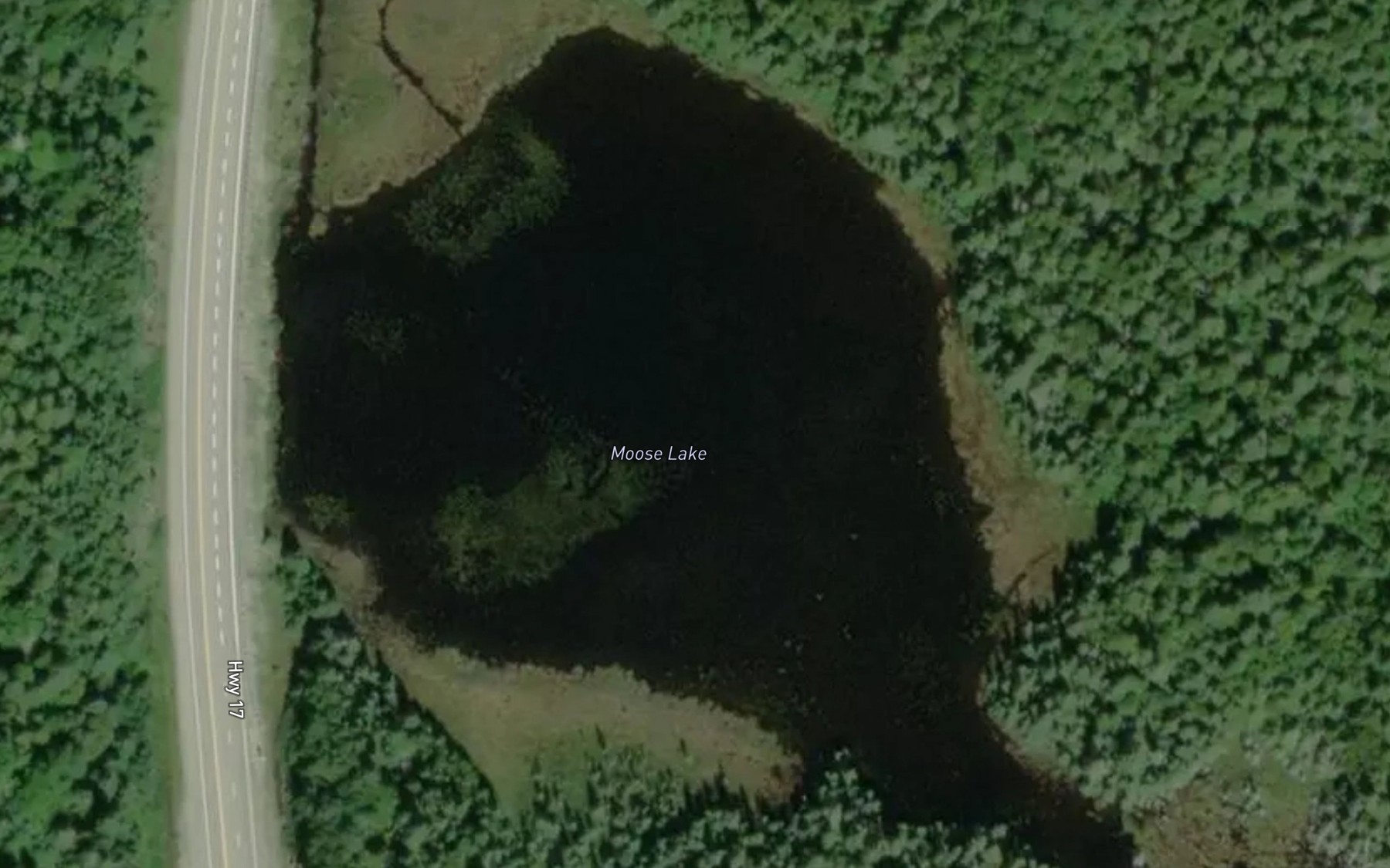 Satellite map of the Moose Lake