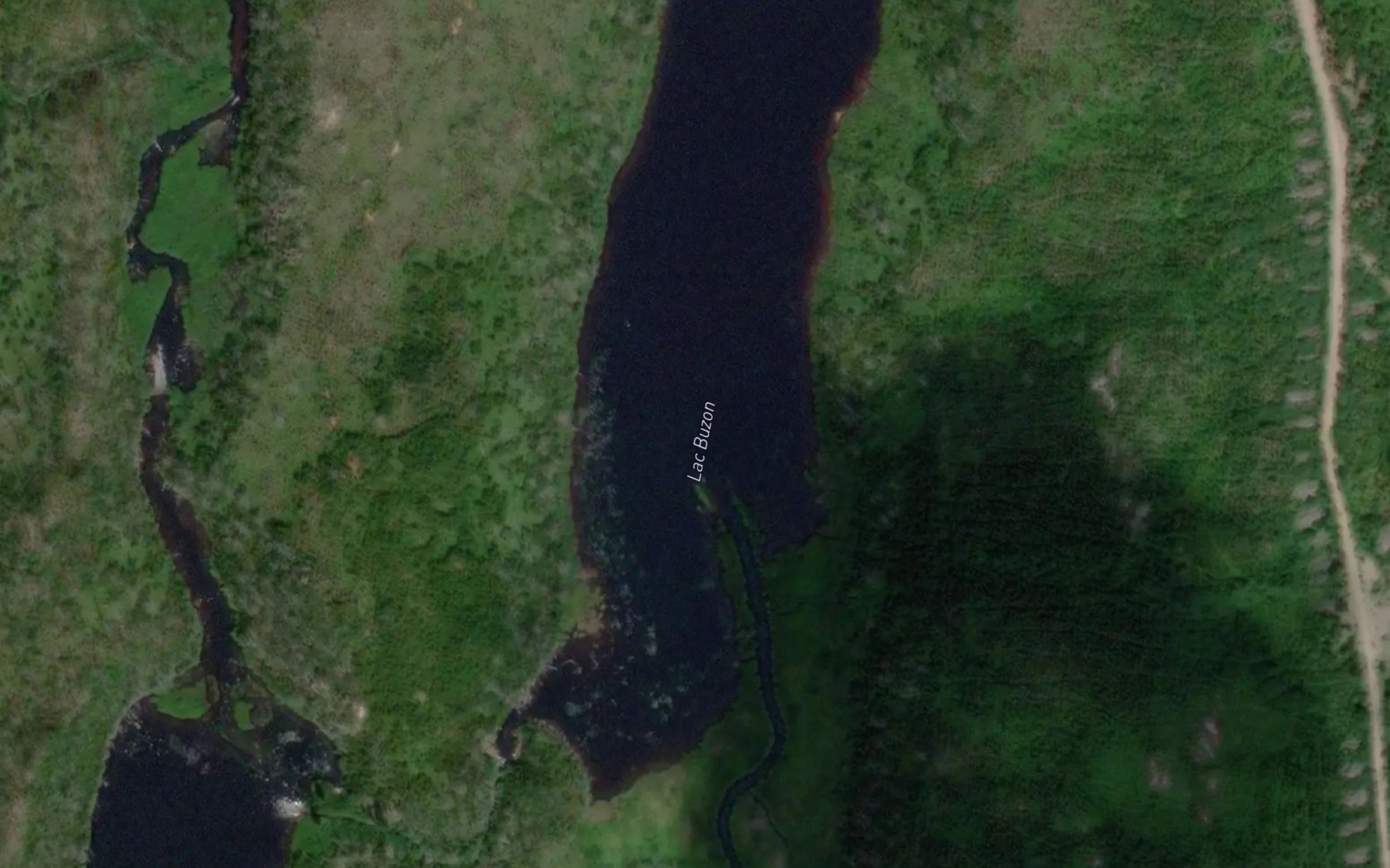 Satellite map of the Lac Buzon