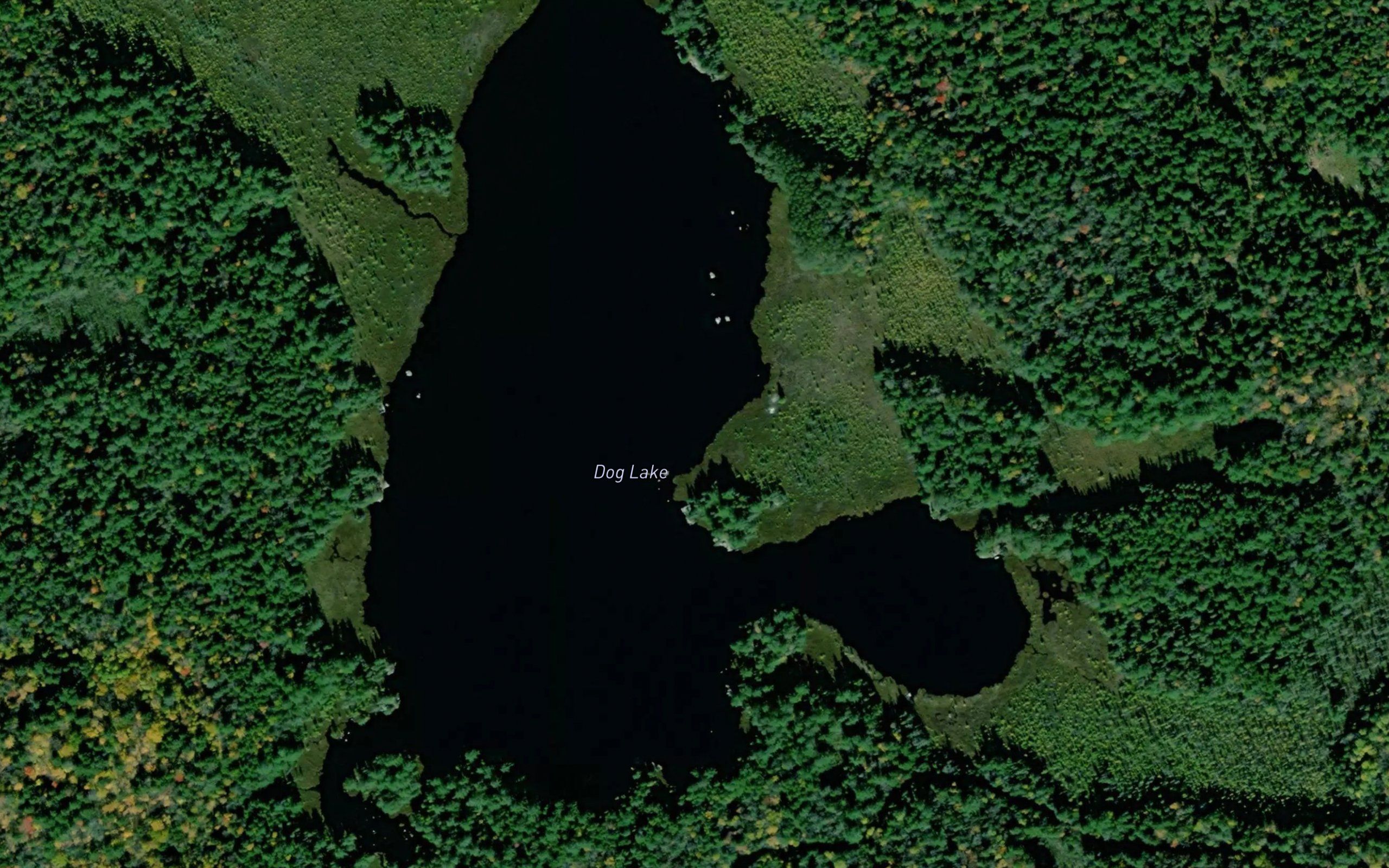 Dog Lake