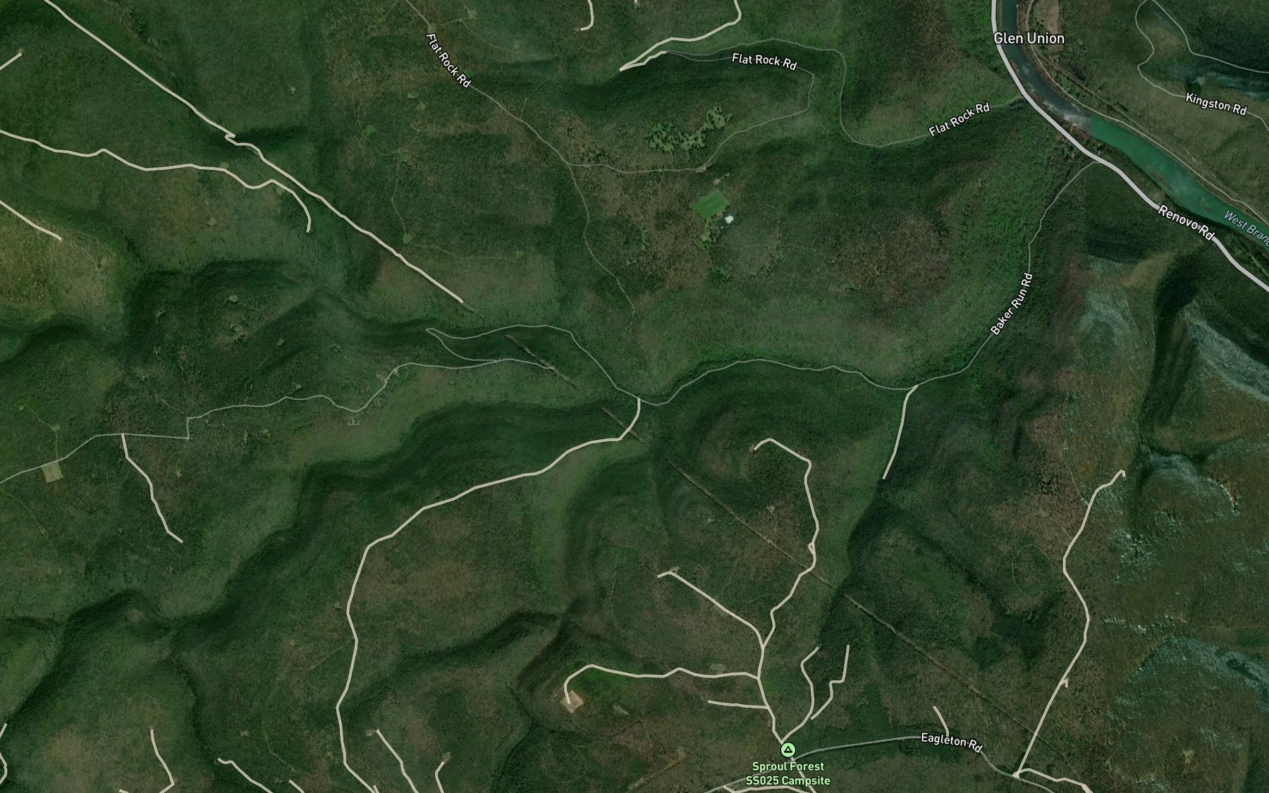 Satellite map of the Clendenin Branch