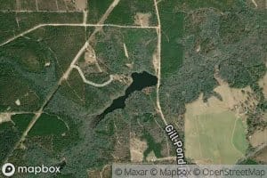 Christmas Branch Lake