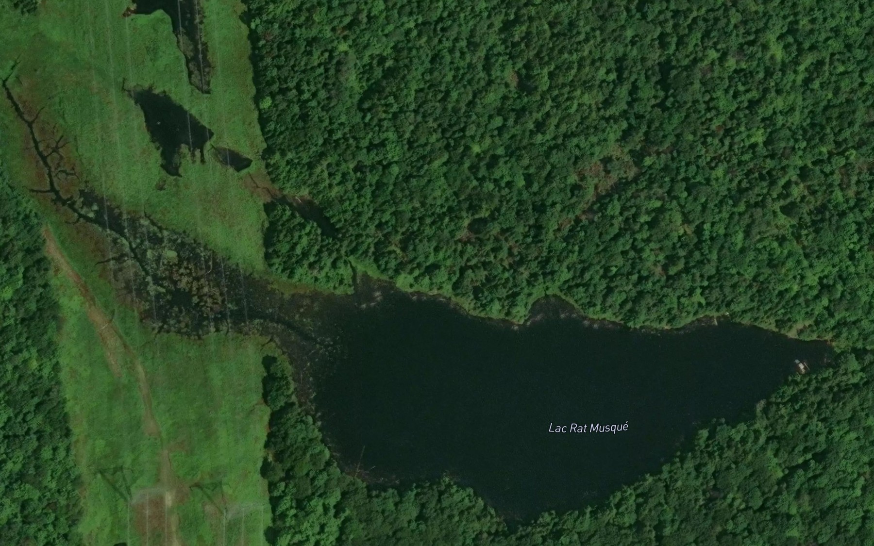 Satellite map of the Lac Rat Musque