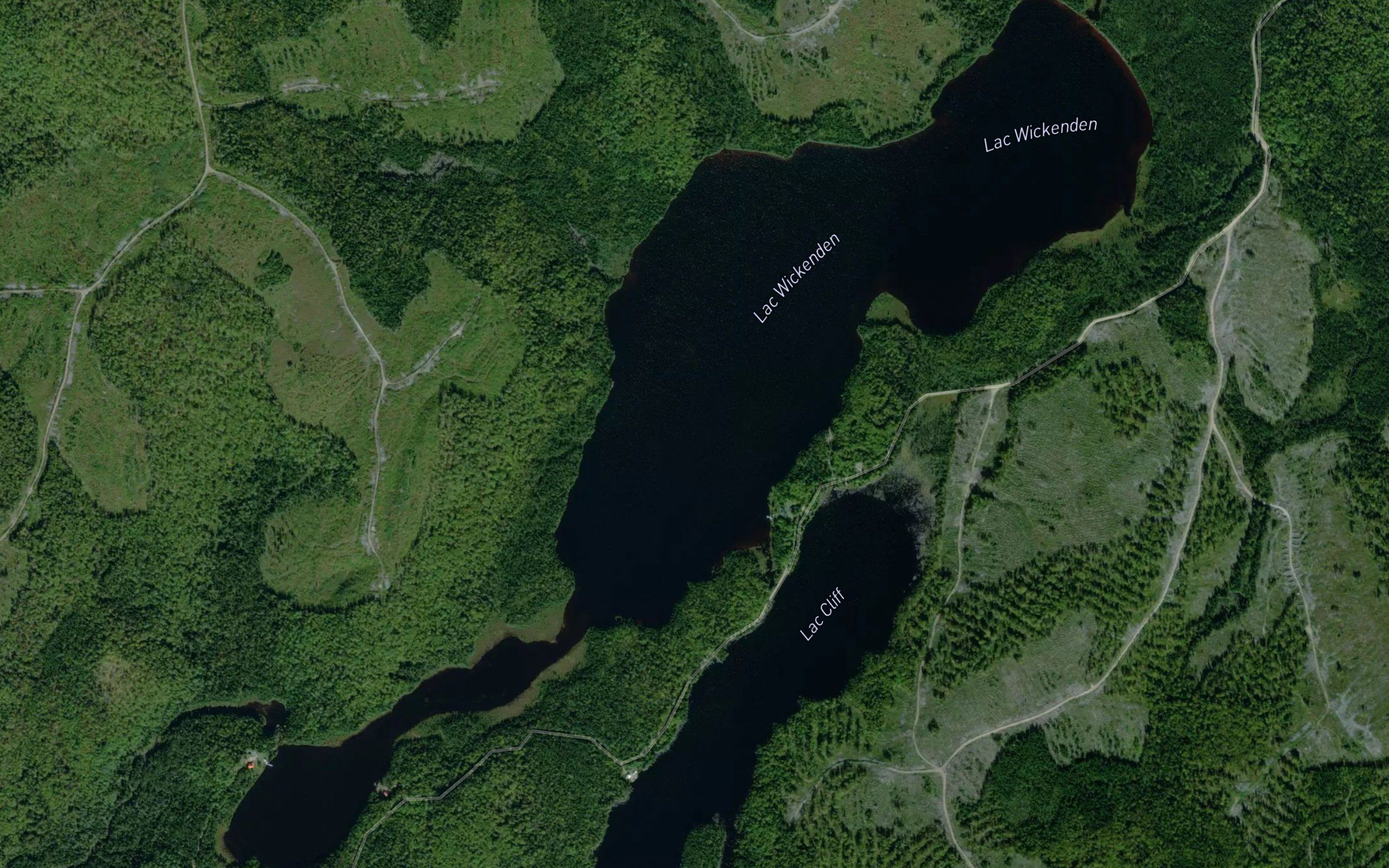 Lac Wickenden