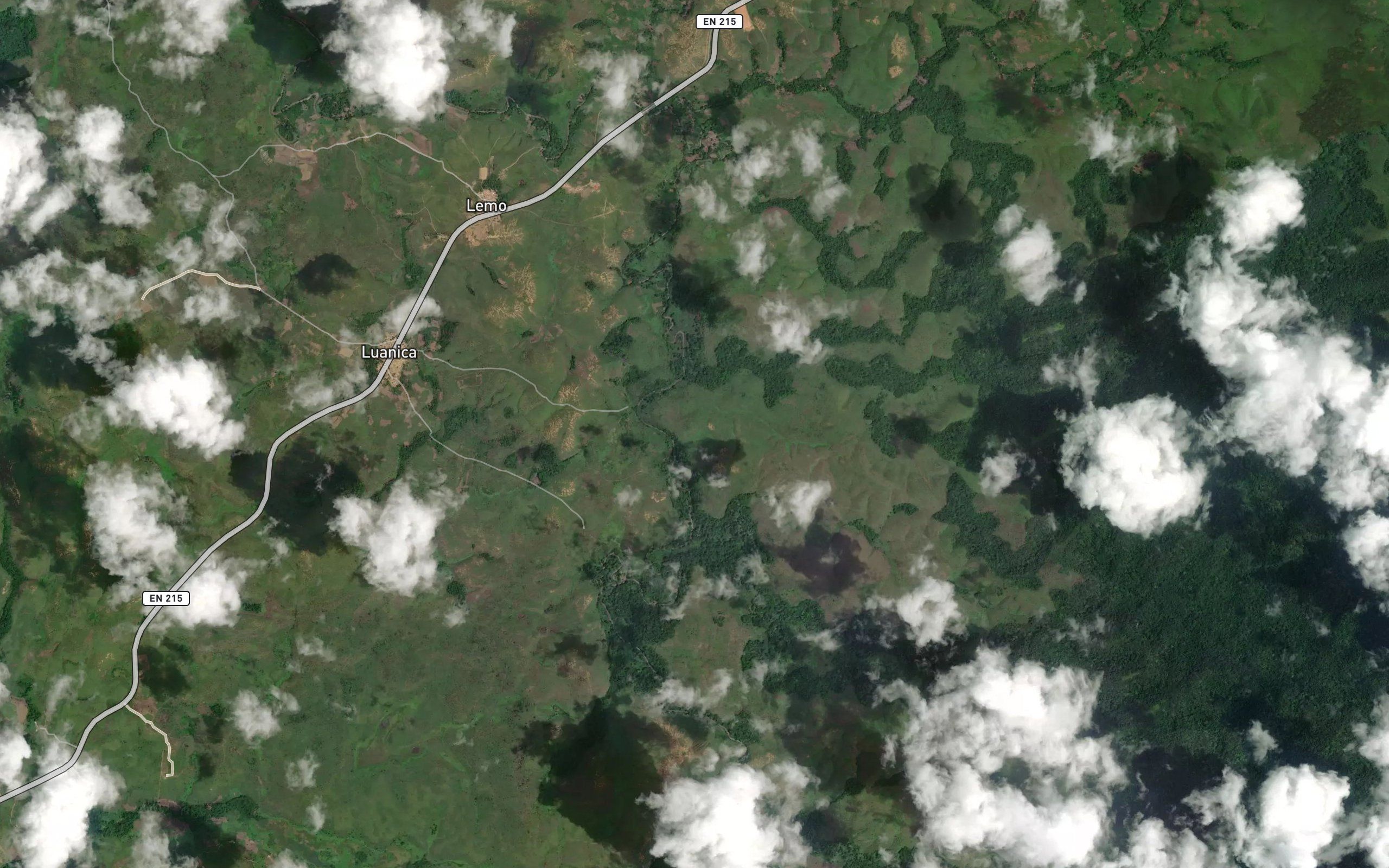 Luege