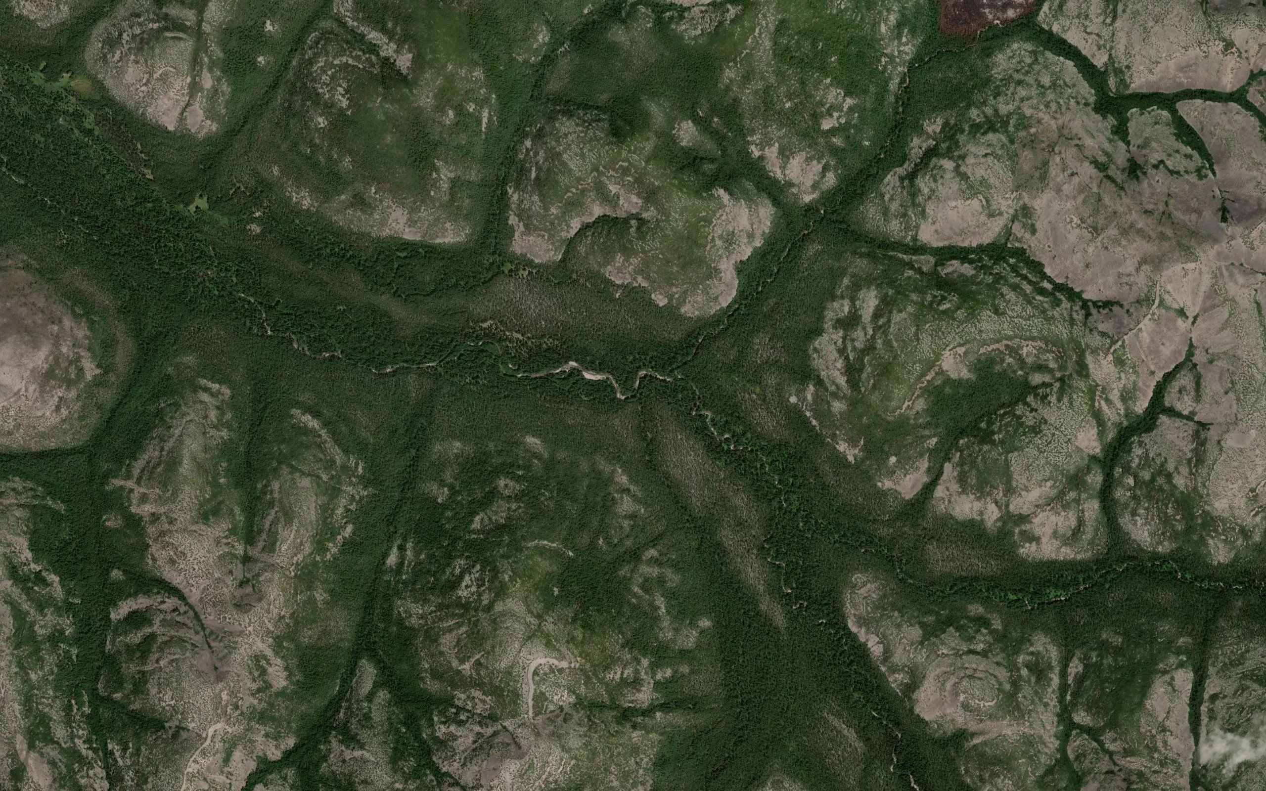 Zharkiy
