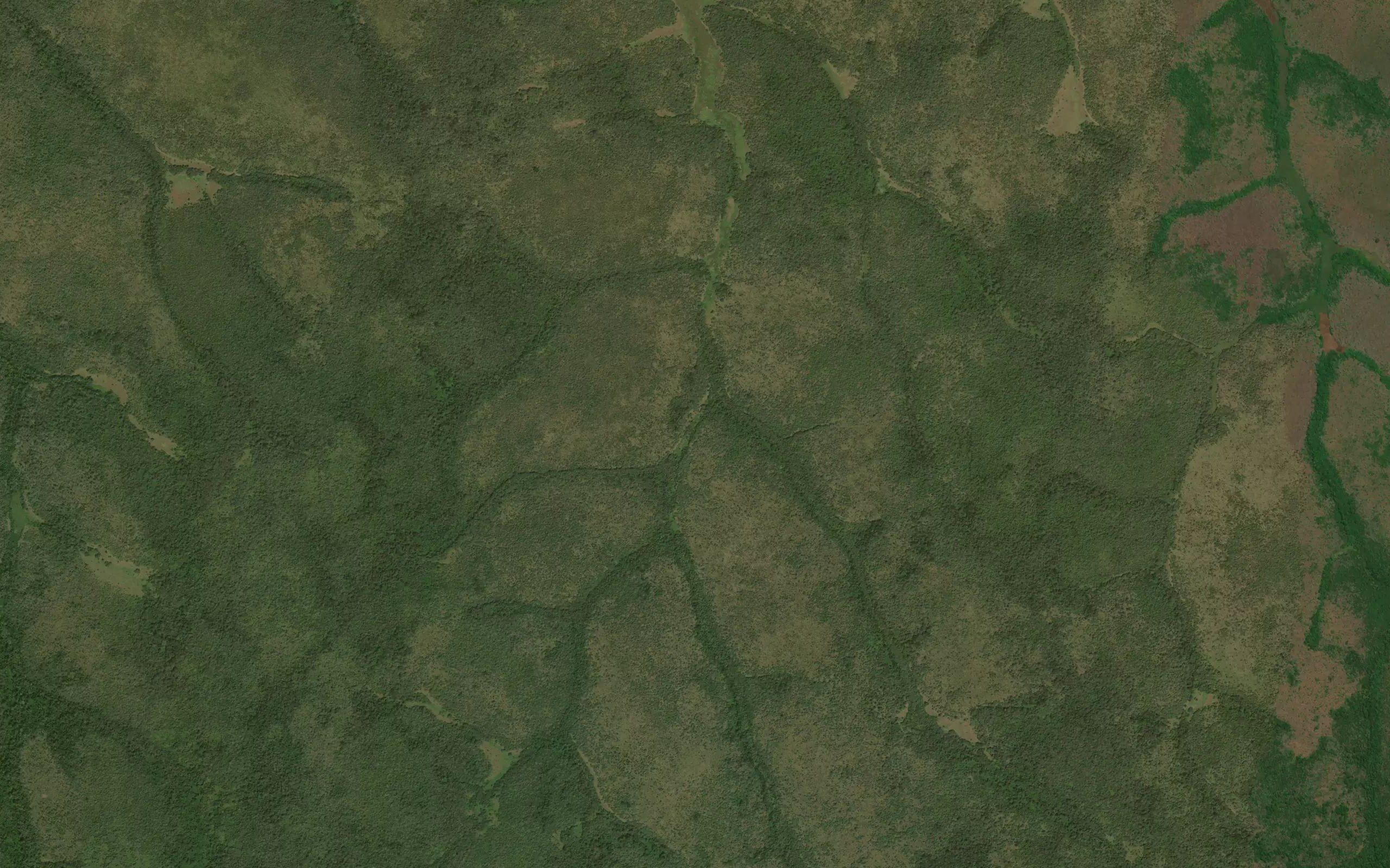 Nangelengele