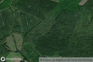 South Prong Cartledge Creek