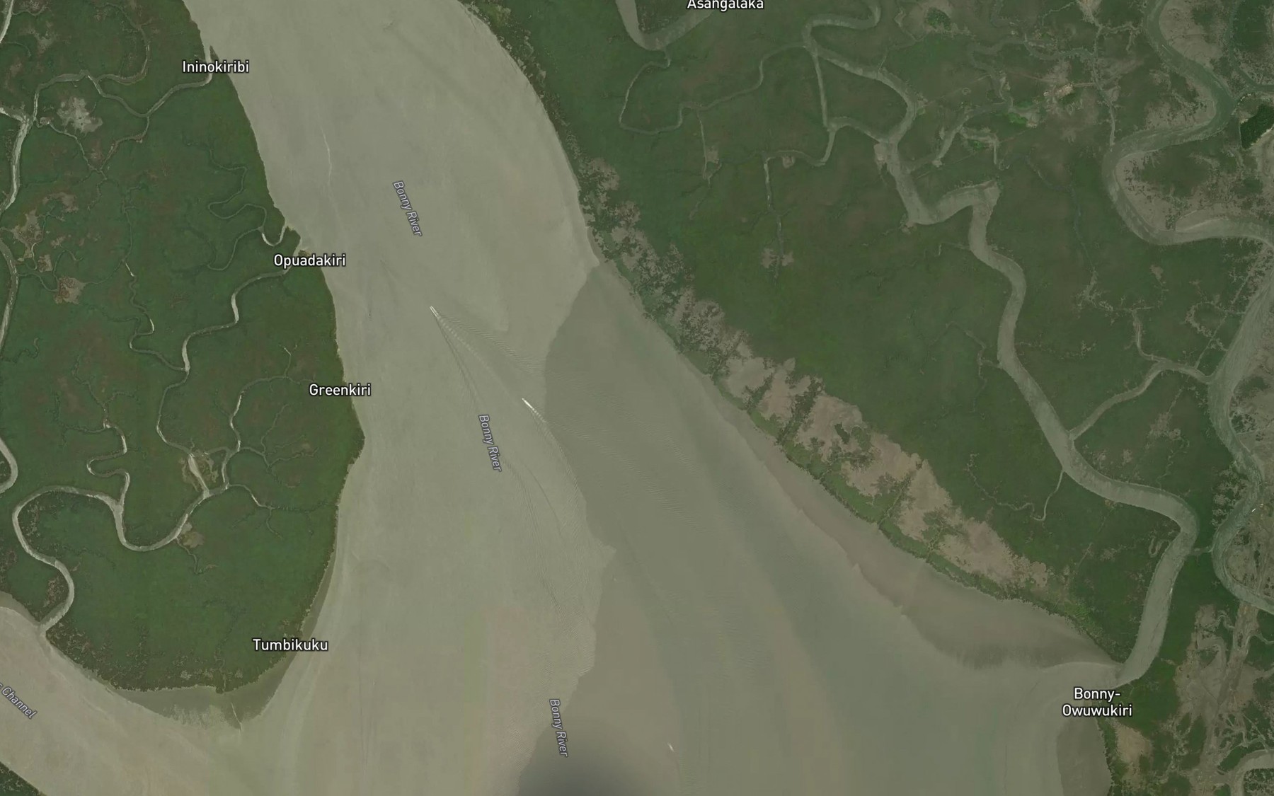 Satellite map of the Igweali Creek