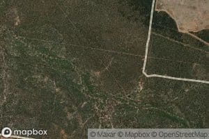 South Branch Booroondoo Creek