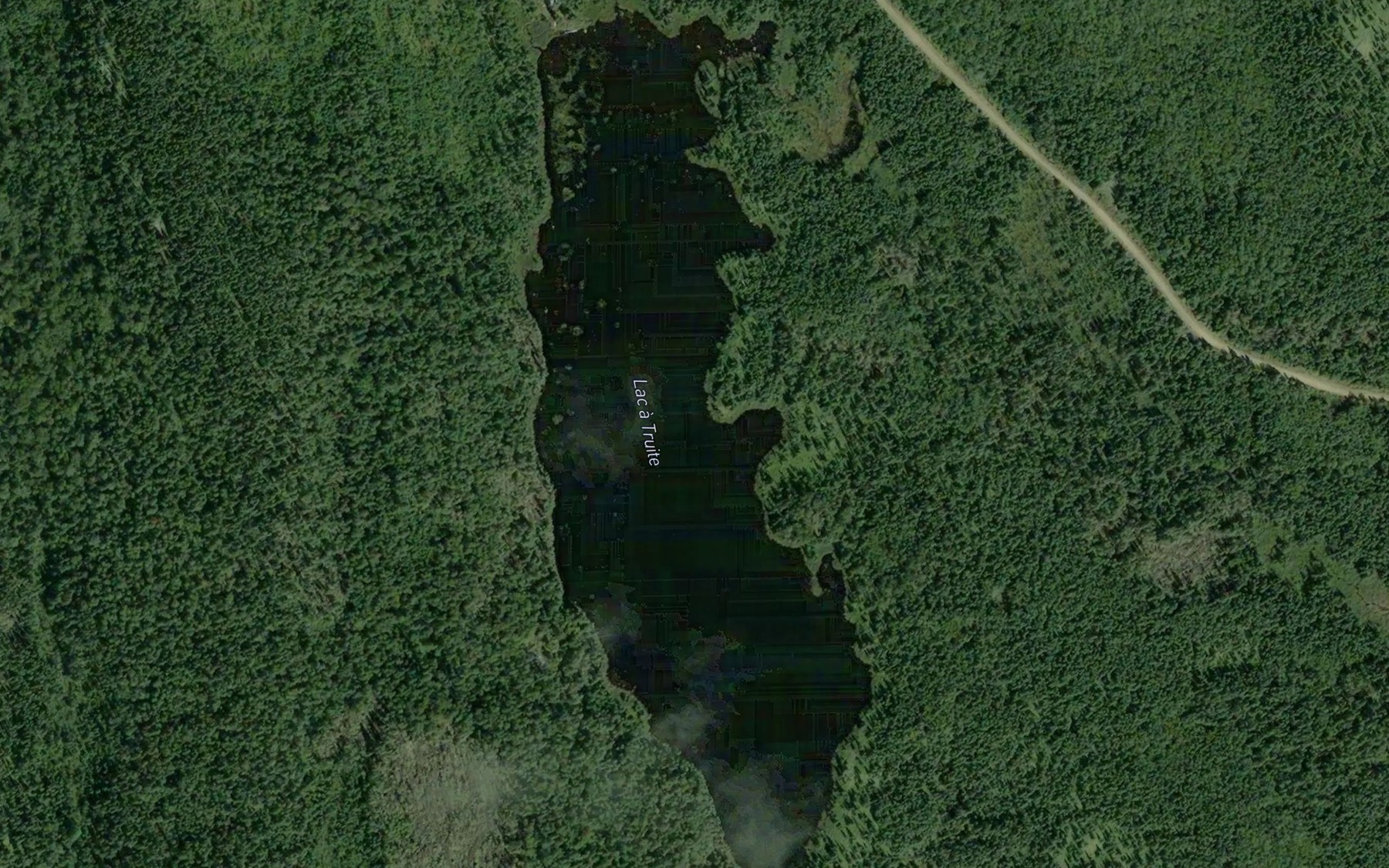 Satellite map of the Lac a Truite