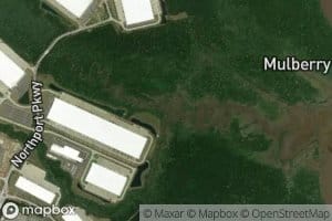 Little Hearst Branch