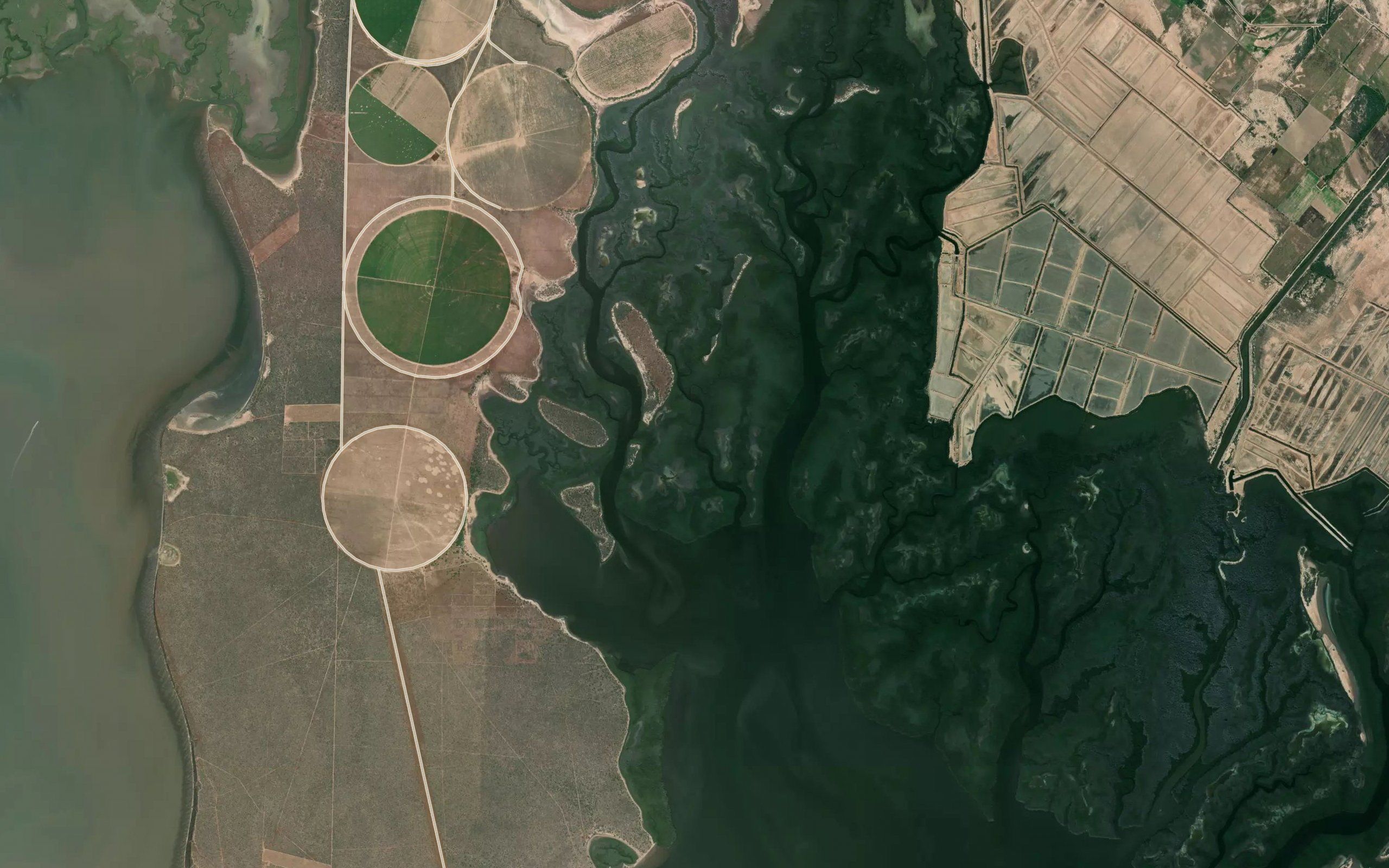 Estero el Oro