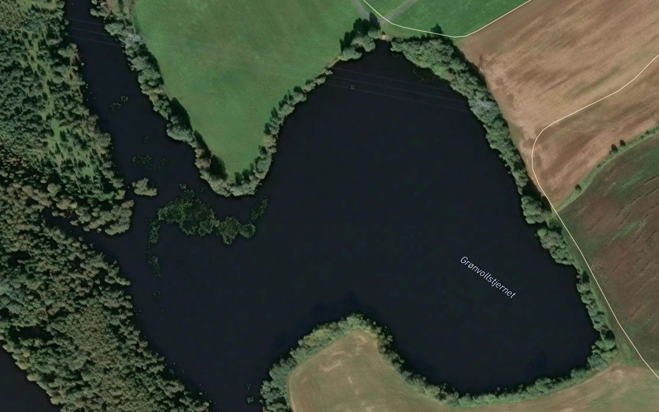 Gronvalltjernet
