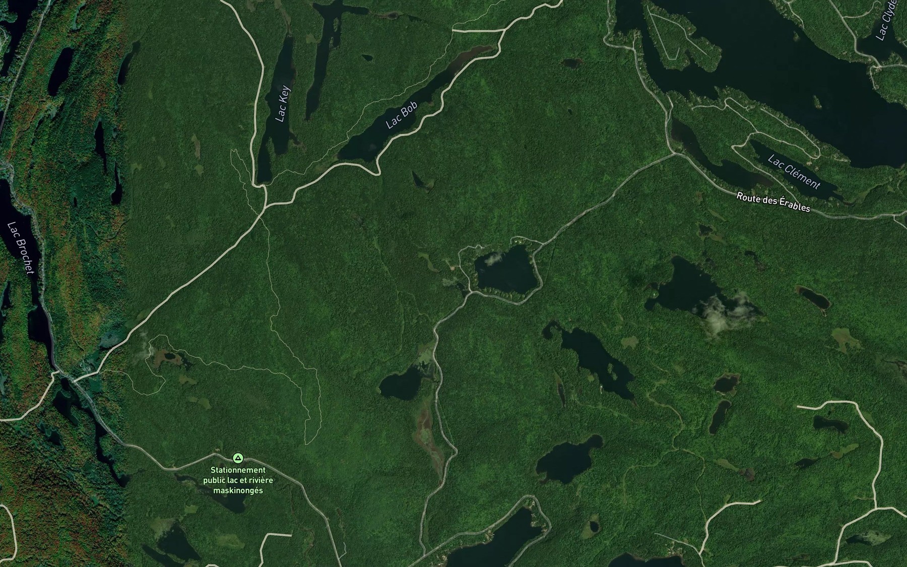 Satellite map of the Lac D