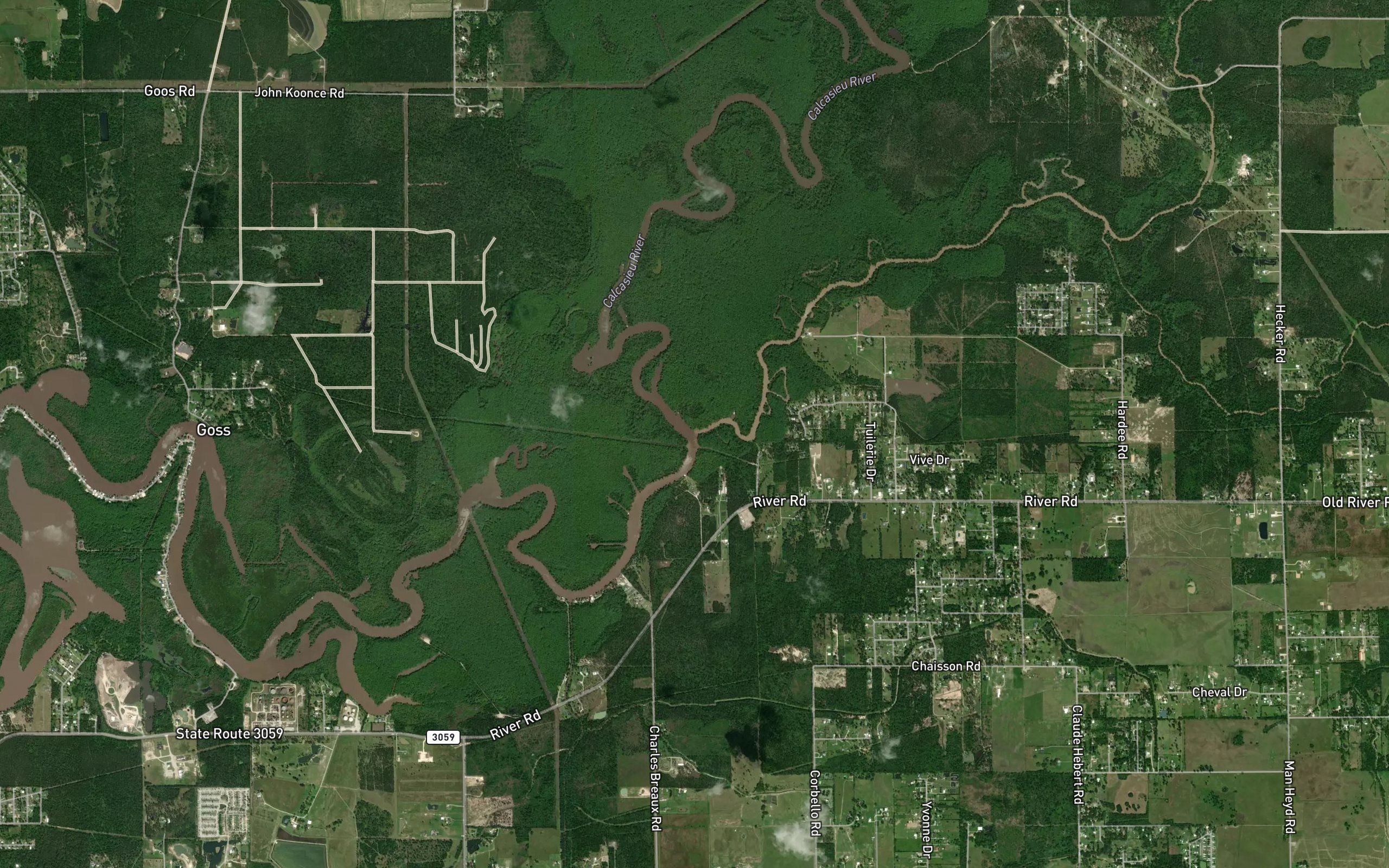 Bayou Serpent