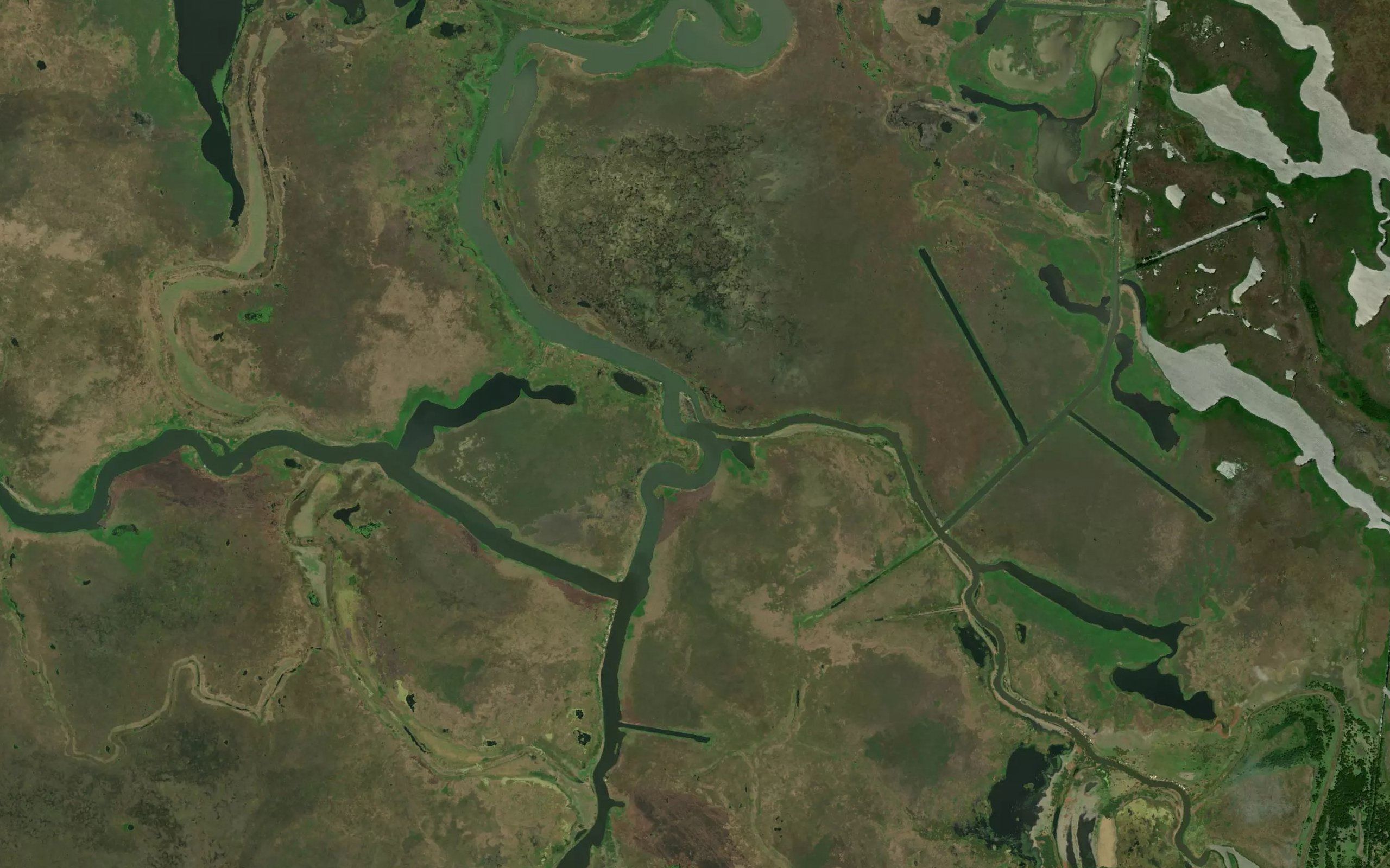 Tasajeras