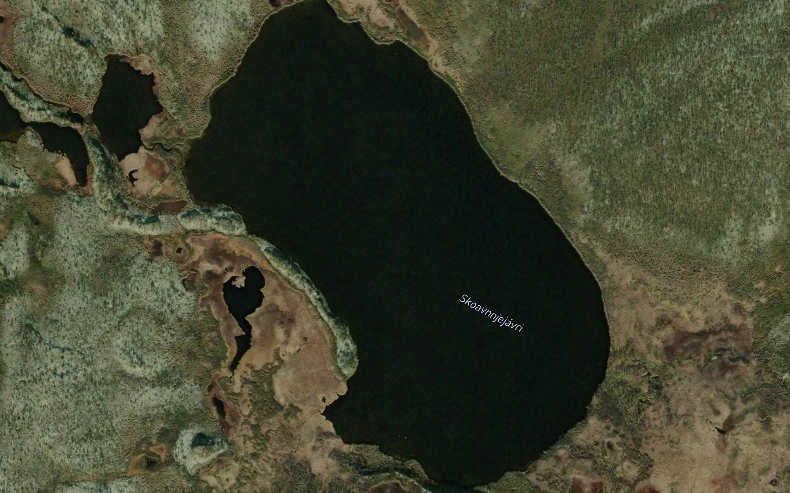 Skoavnjejavri