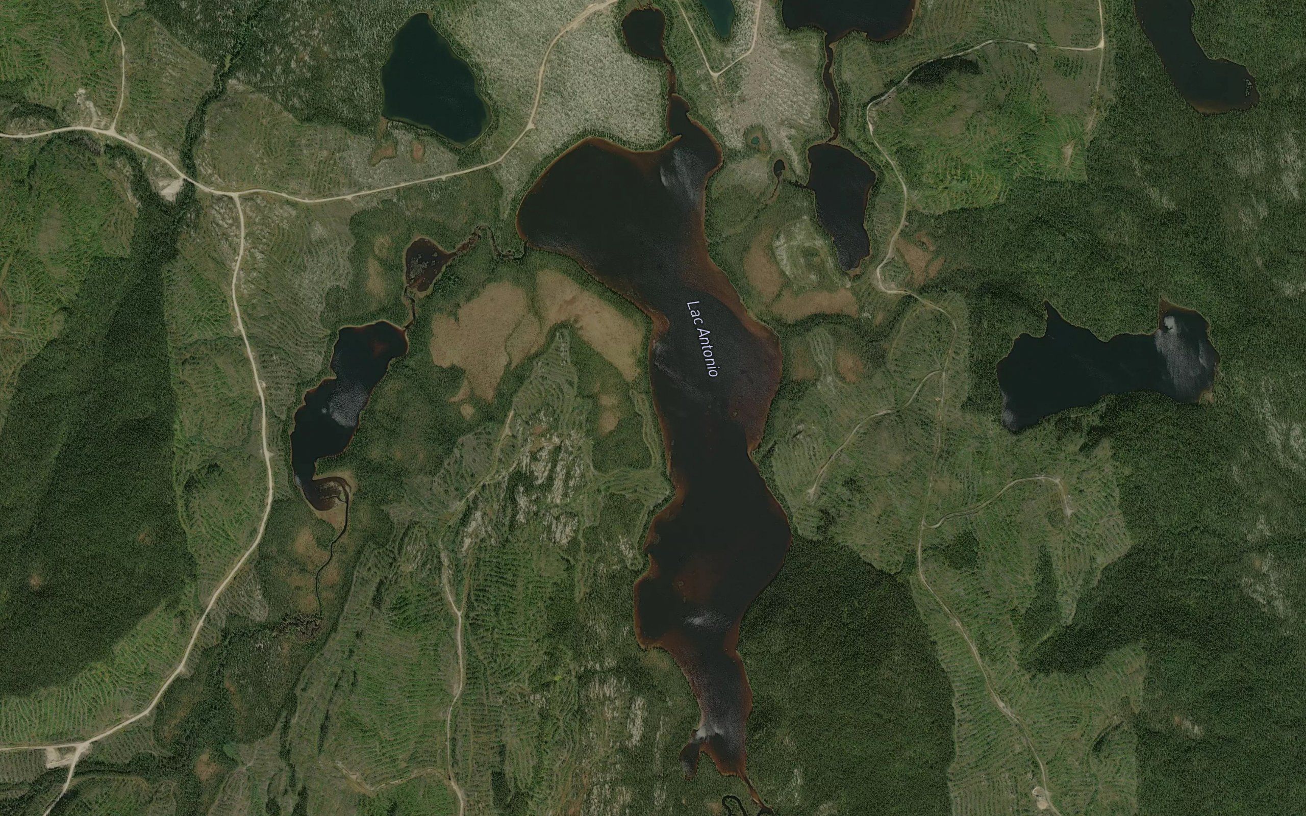 Lac Antonio