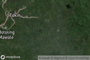 Royongan Kapitu Satu