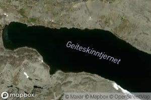 Geiteskinntjernet