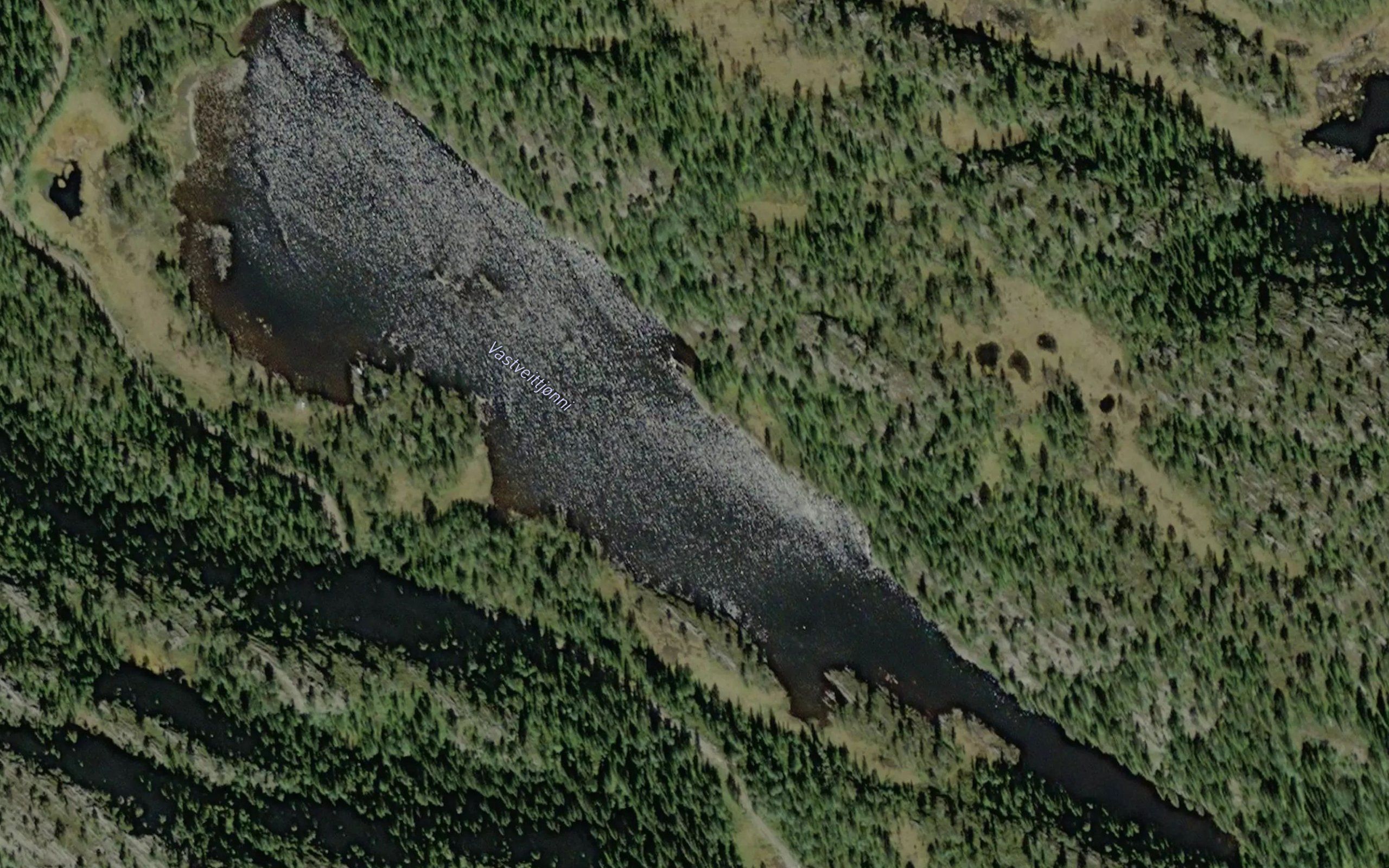 Vastveittjonni