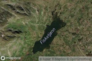 Fisketjonni
