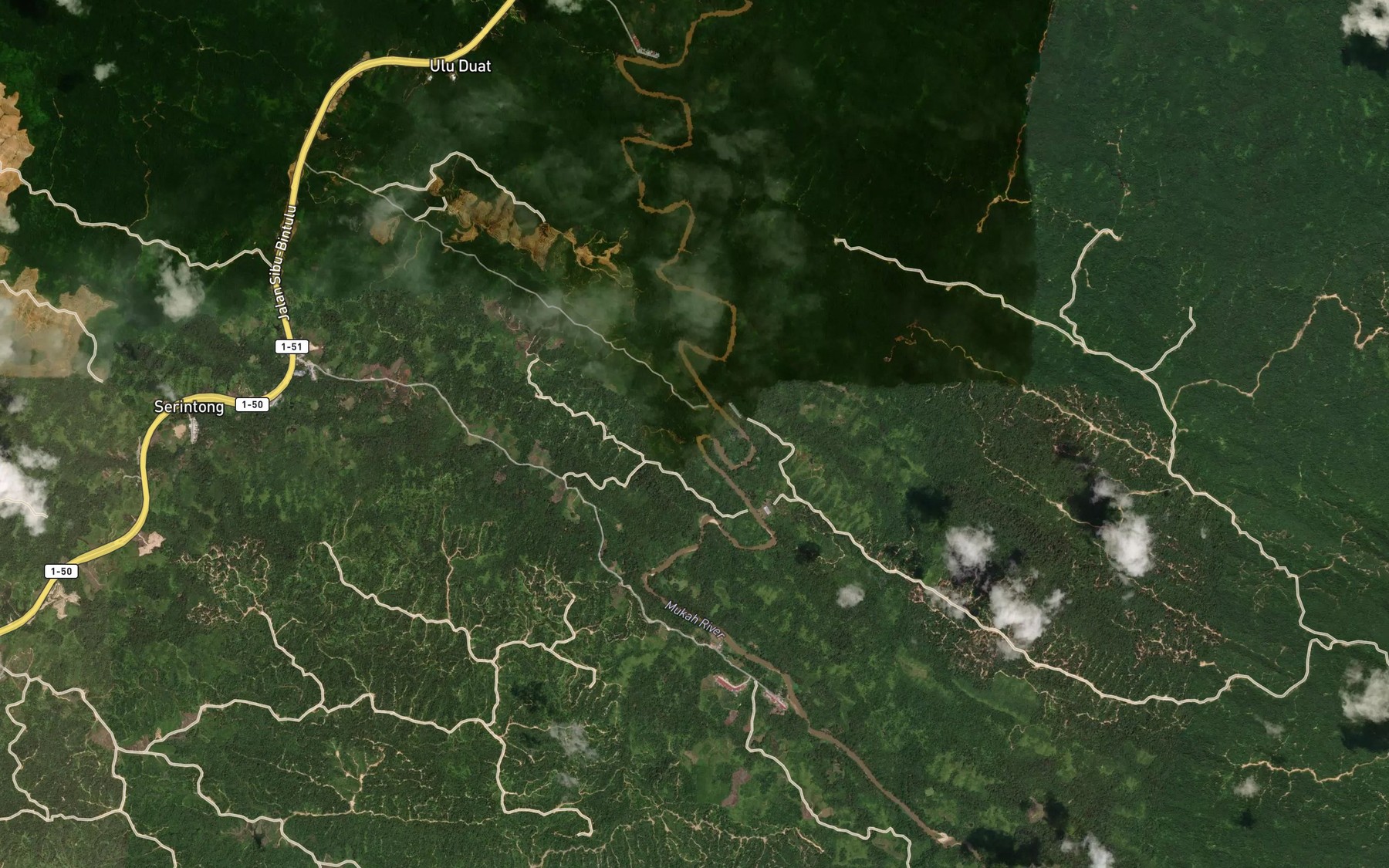 Satellite map of the Sungai Selalang