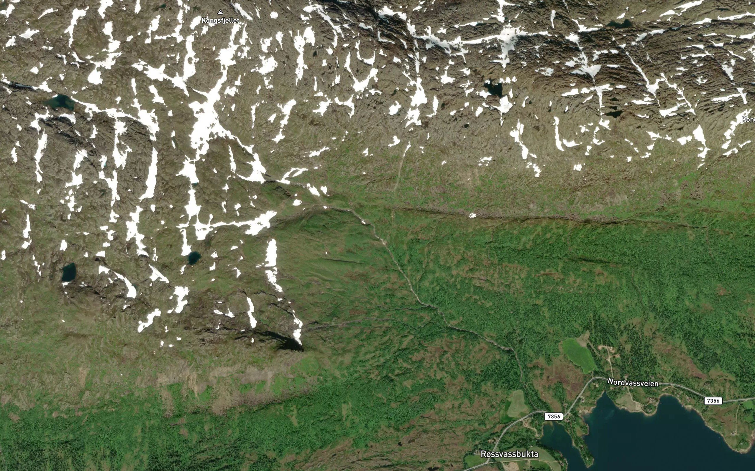 Kongselva