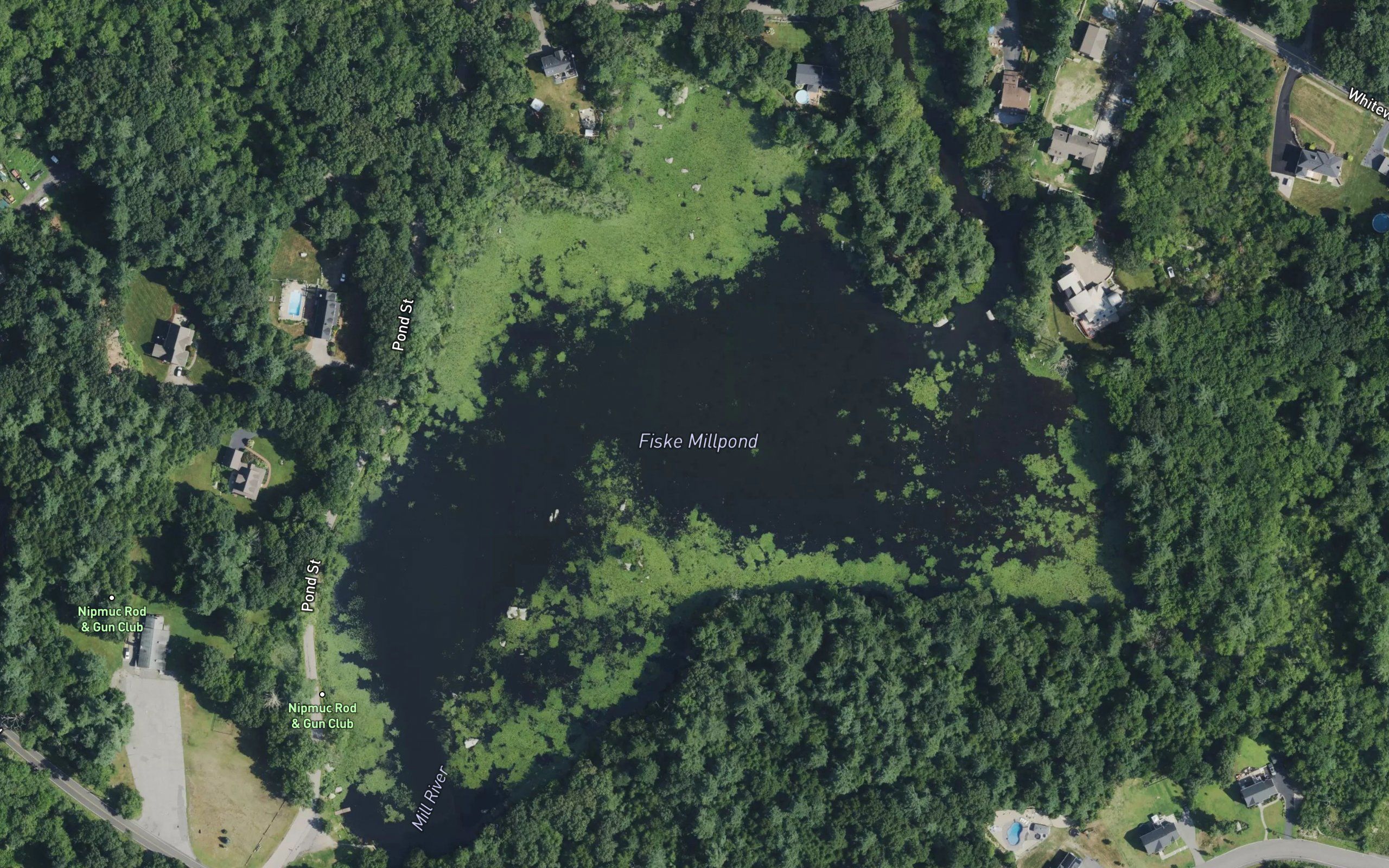 Fiske Millpond