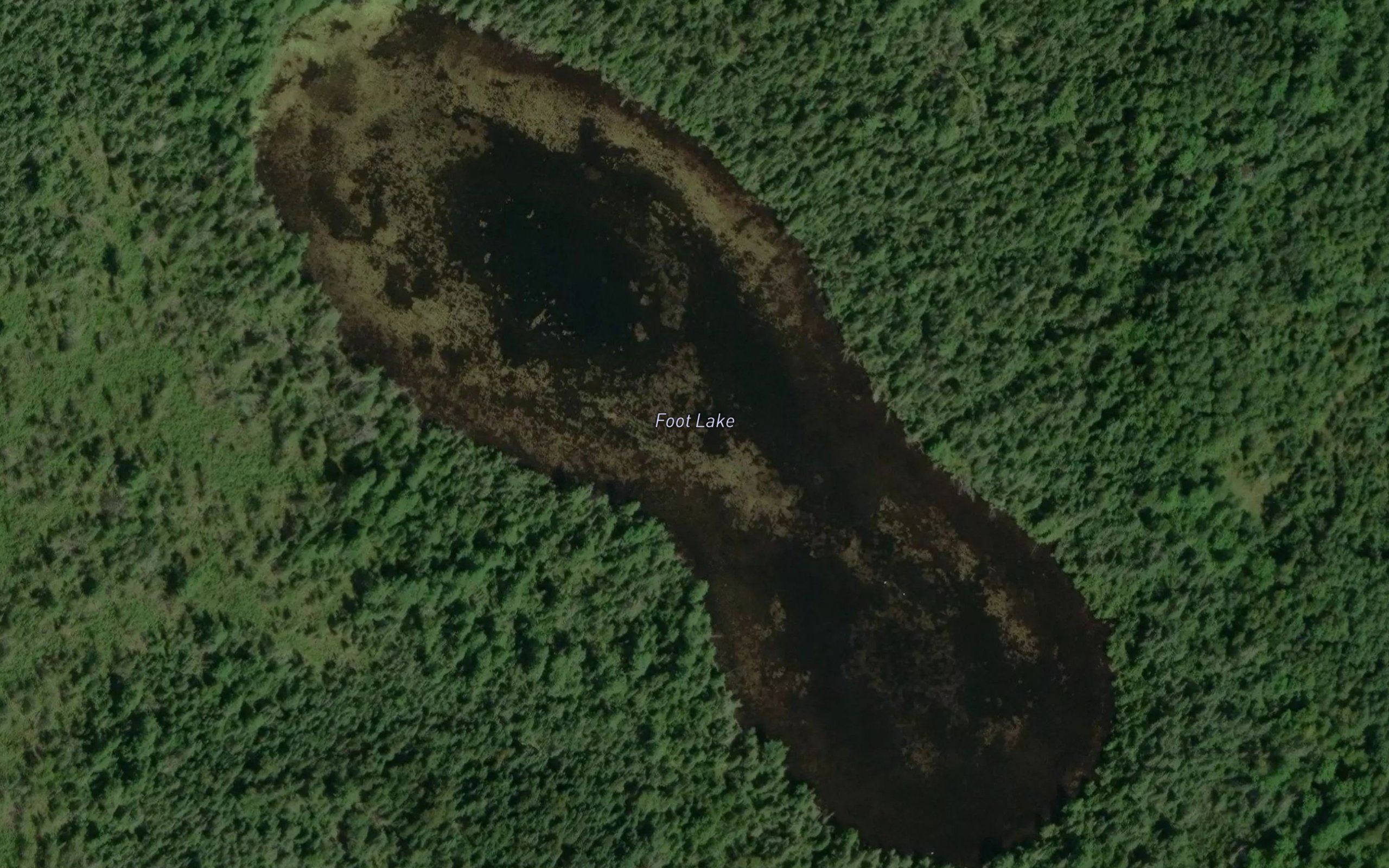Foot Lake