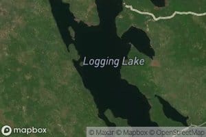 Logging Lake
