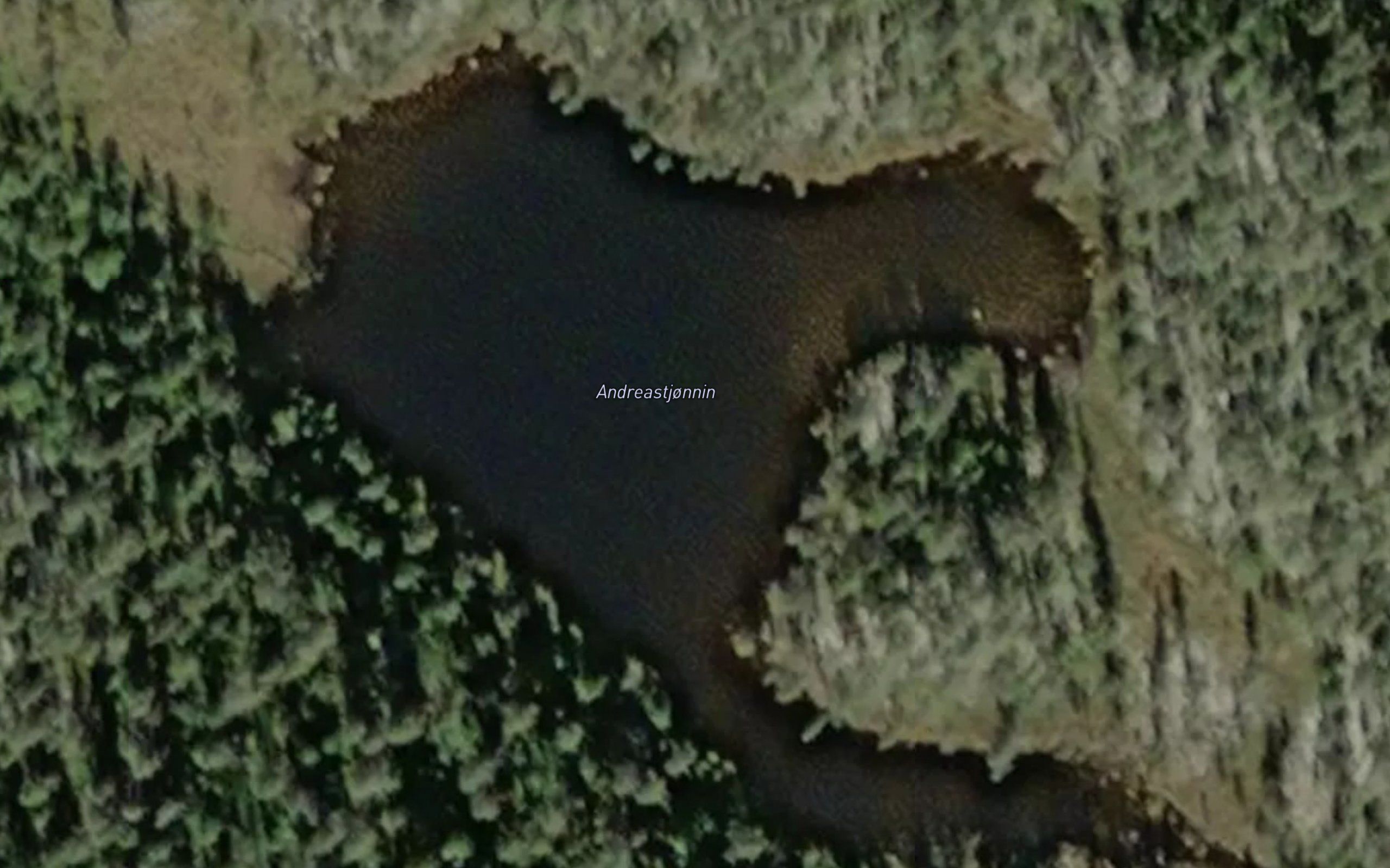 Andorstjorna
