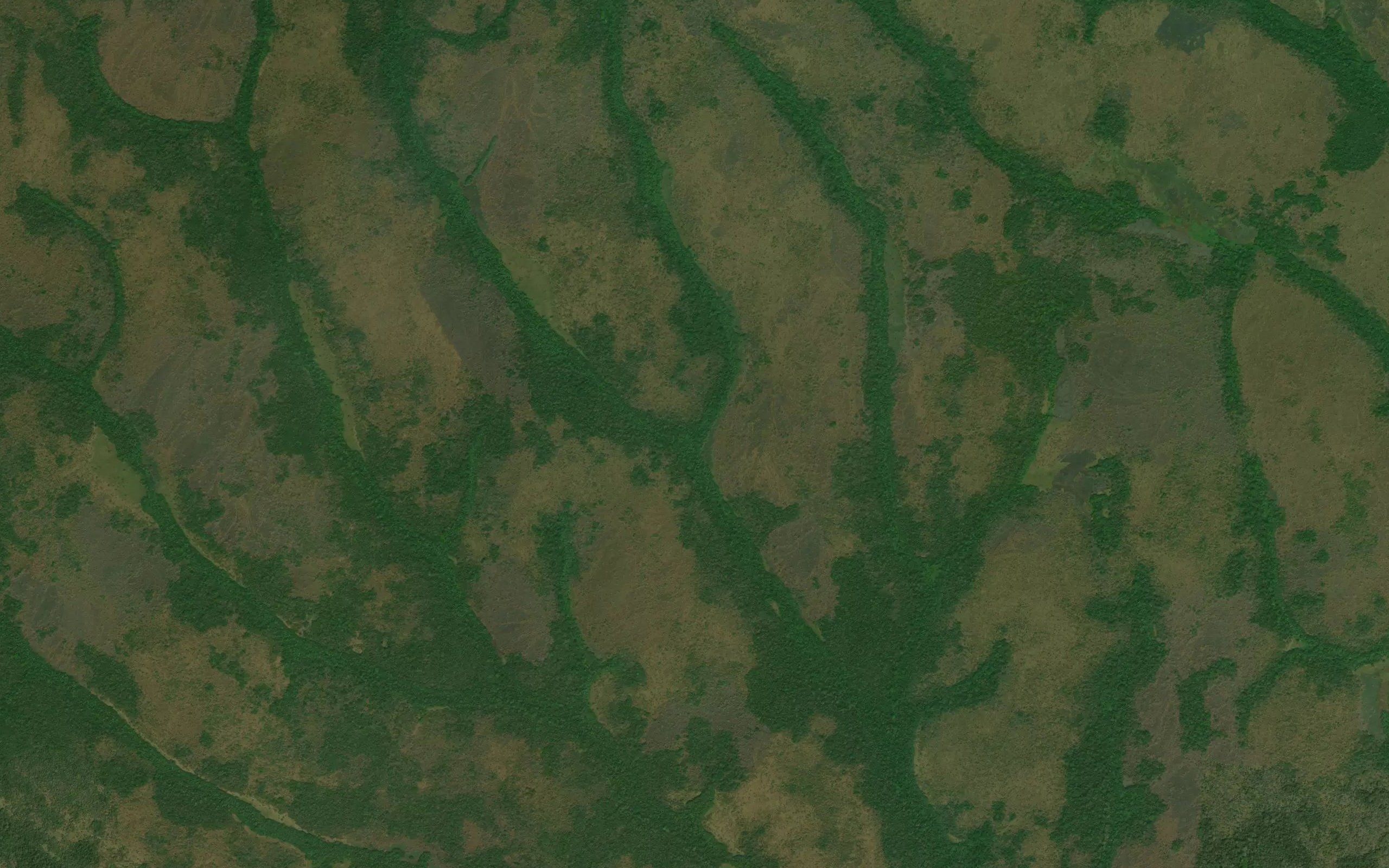 Nagumba