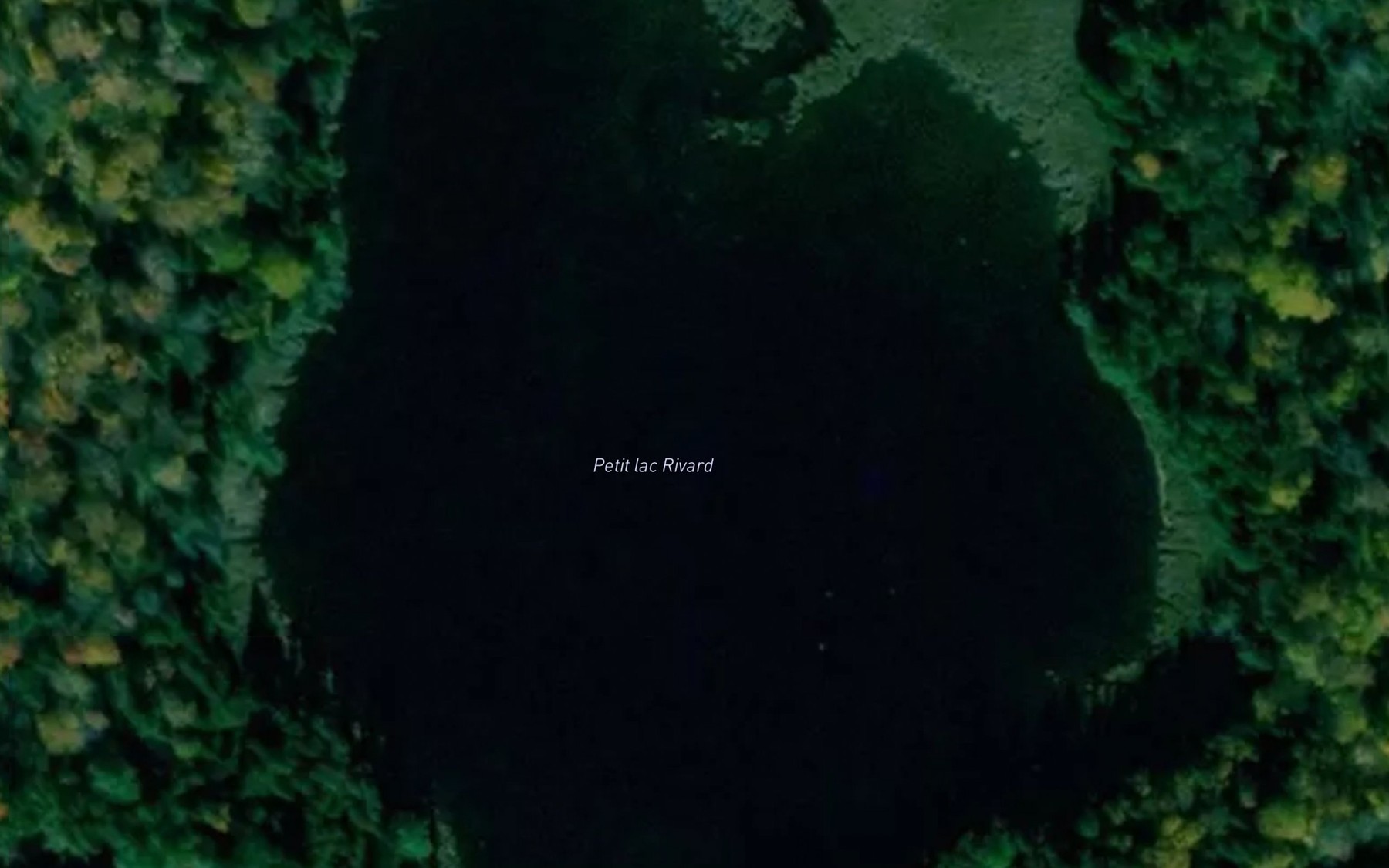Satellite map of the Petit lac Rivard