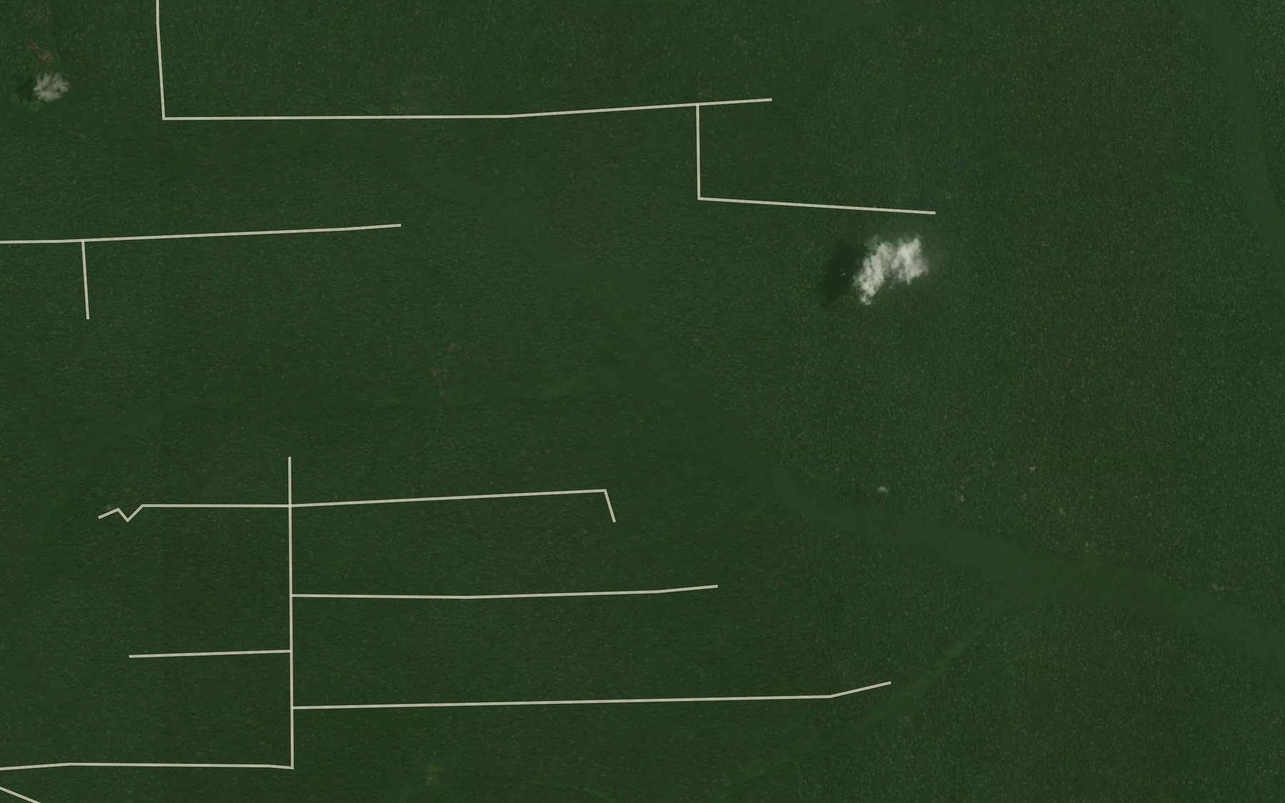 Satellite map of the Lonzi