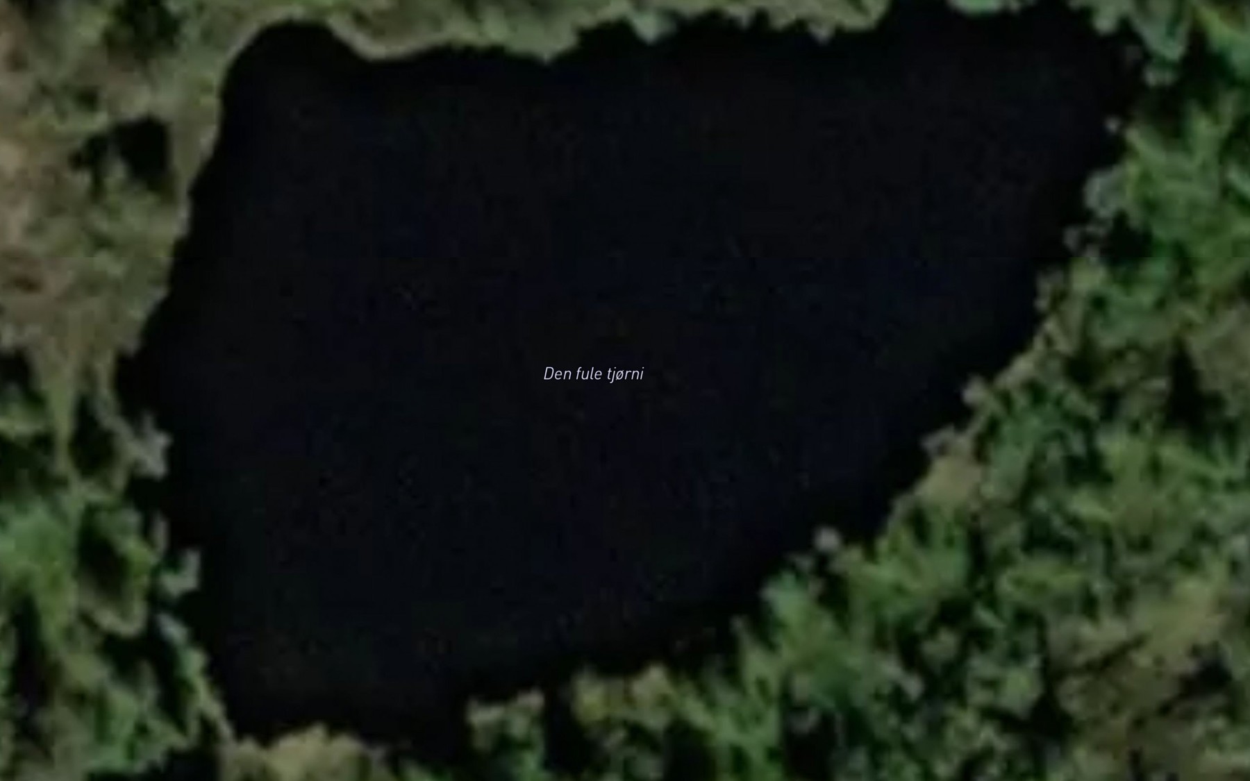 Satellite map of the Den fule tjorni