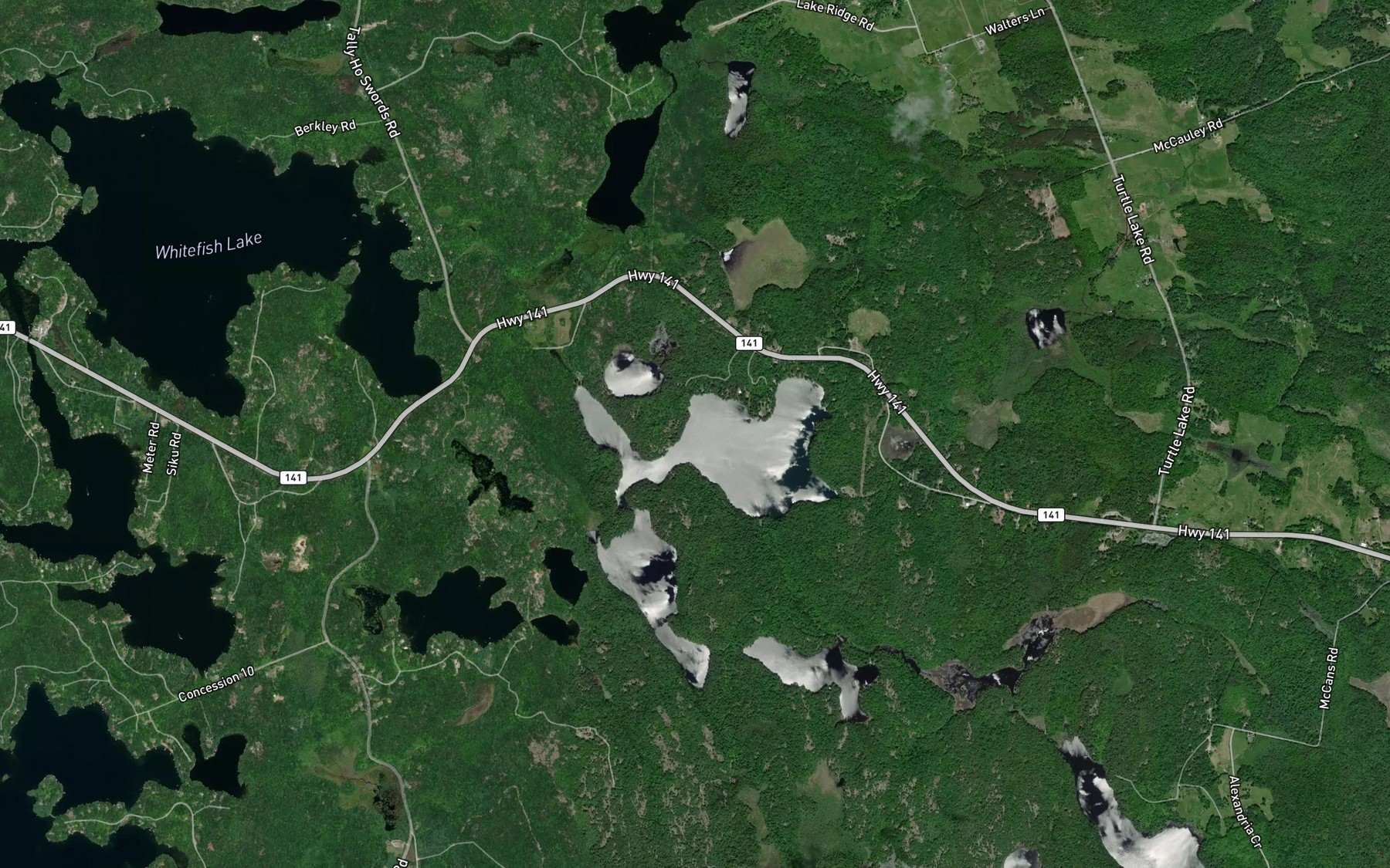 Satellite map of the Trout Lake