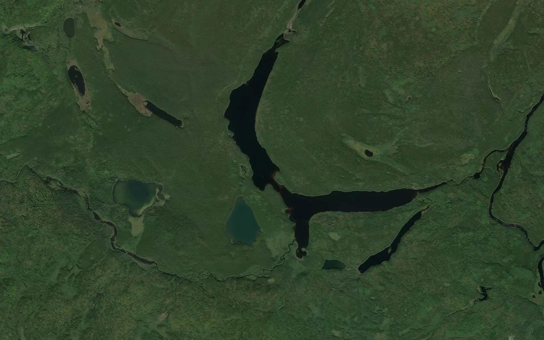 Satellite map of the Pantagruel Lake