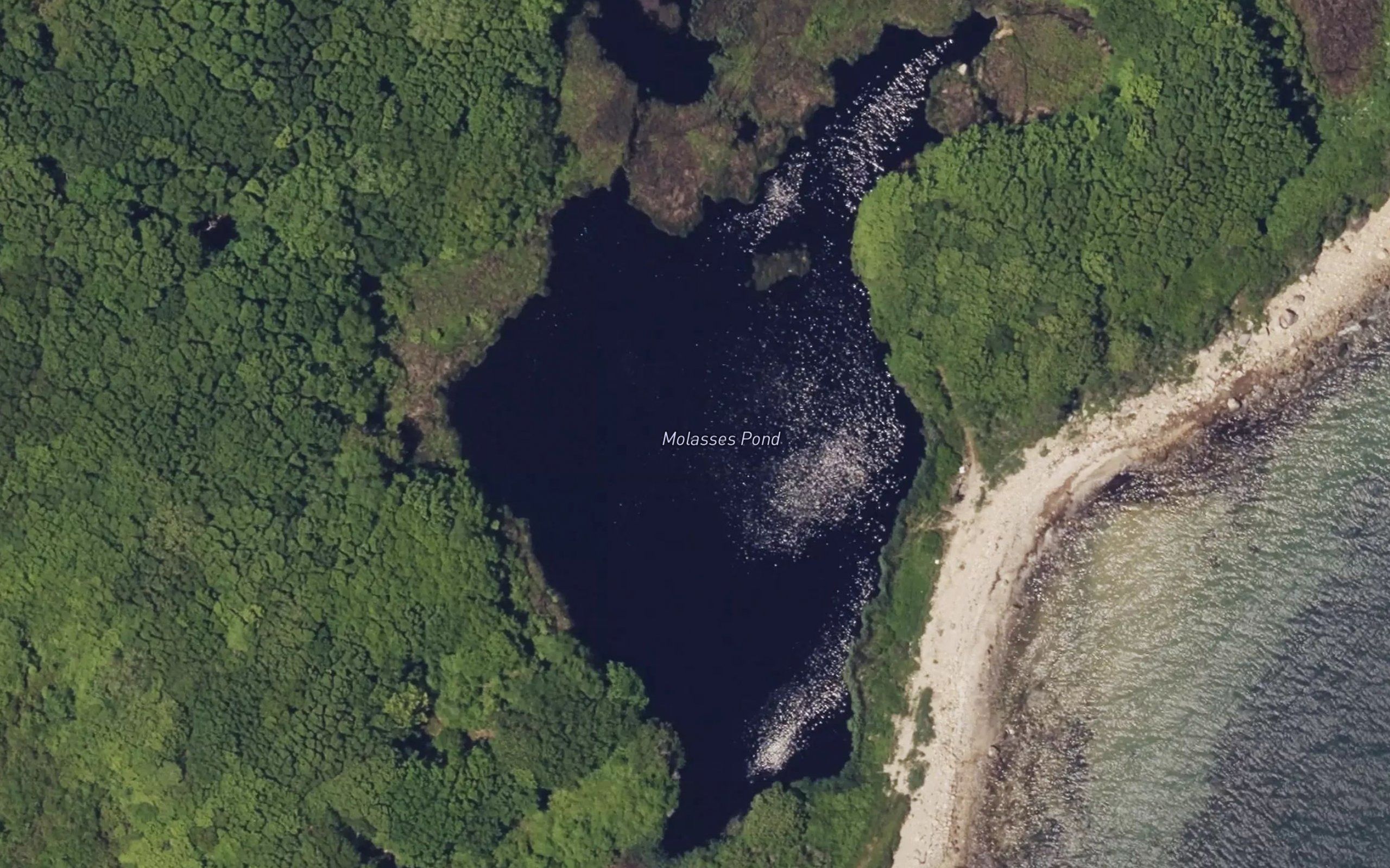 Molasses Pond