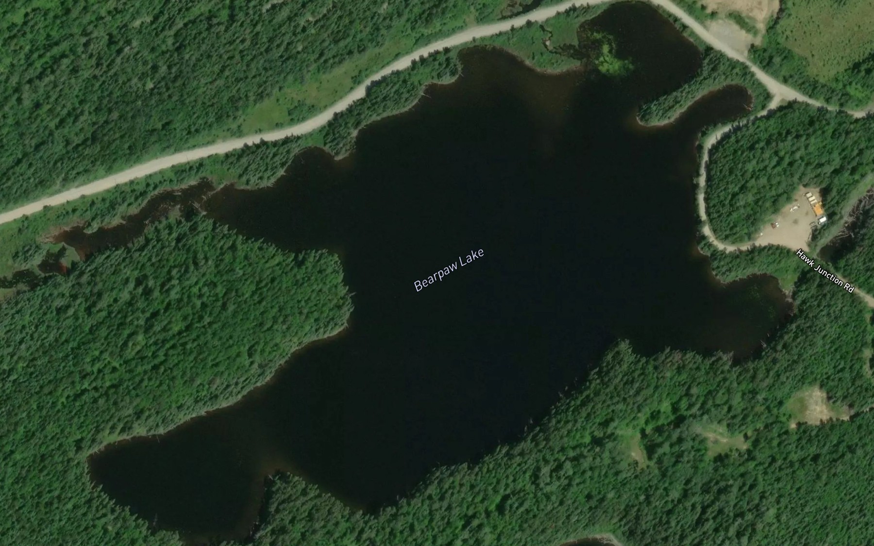 Satellite map of the Bearpaw Lake